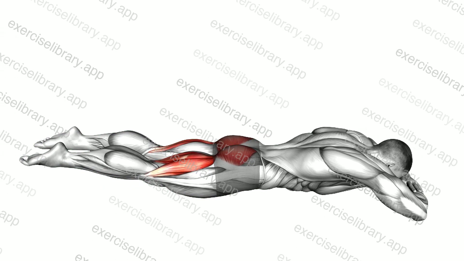 Lying Hyperextension Hold demonstration