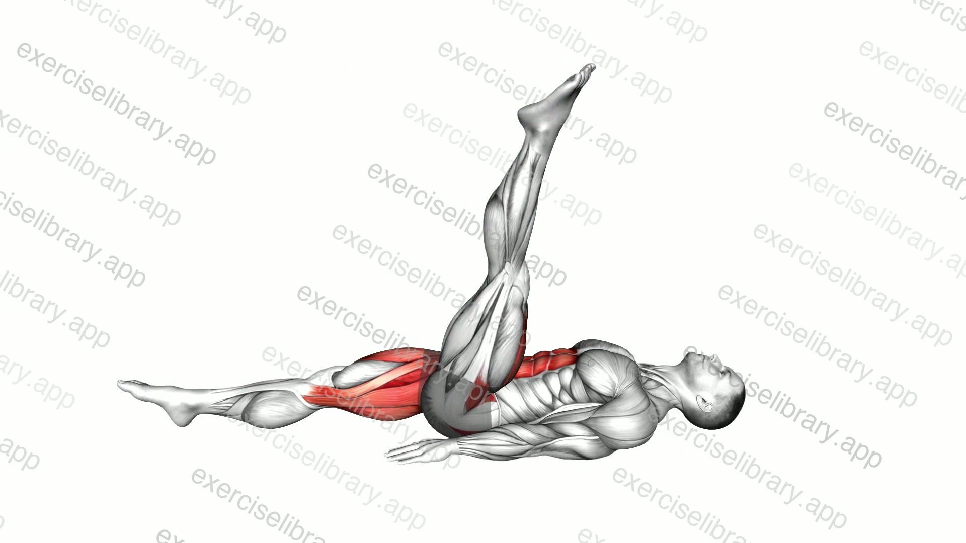 Lying Alternate Straight Leg Circle demonstration