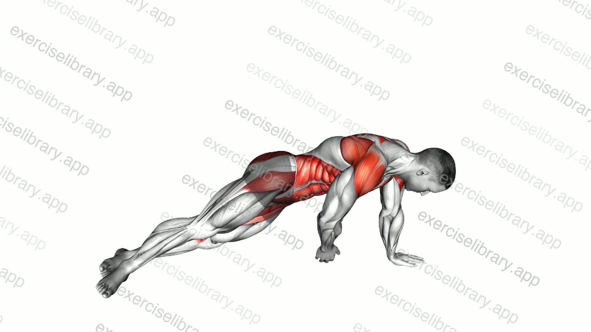 Side Plank Pull demonstration