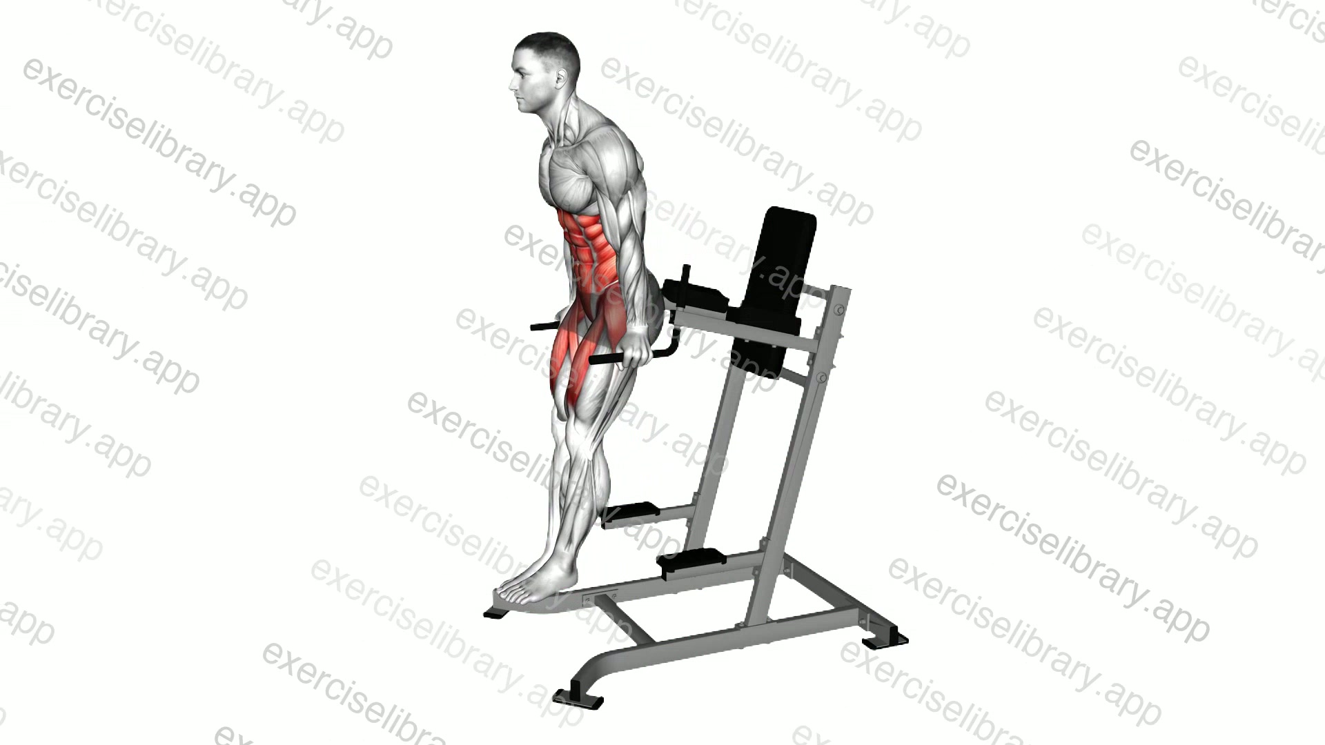 Ab Tuck demonstration