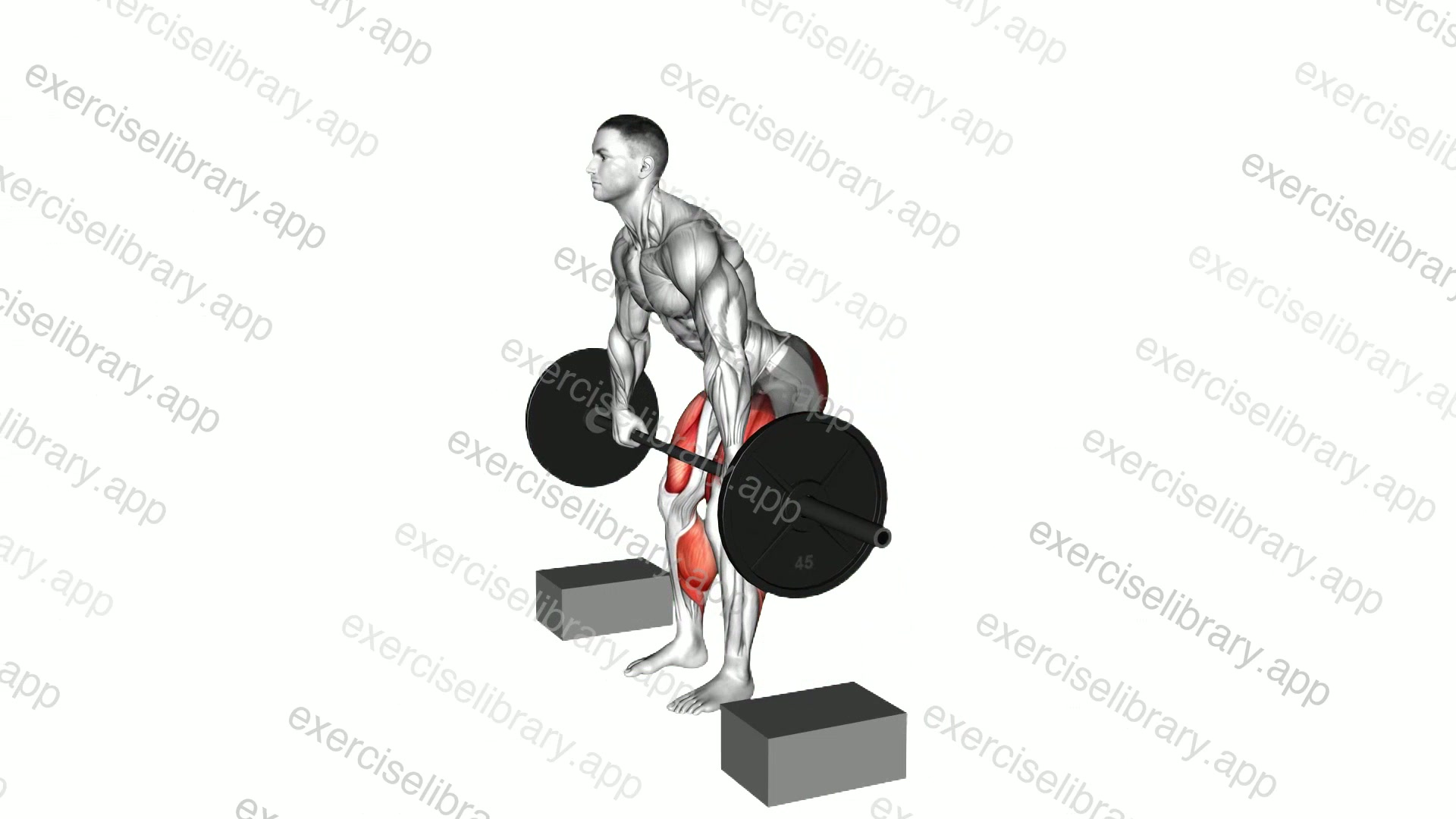 Barbell Deadlift from Blocks demonstration