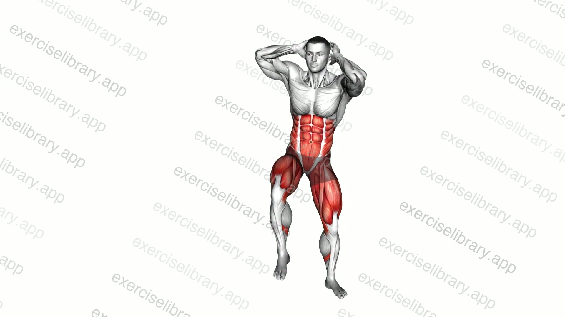 Side to Front Knee-up demonstration