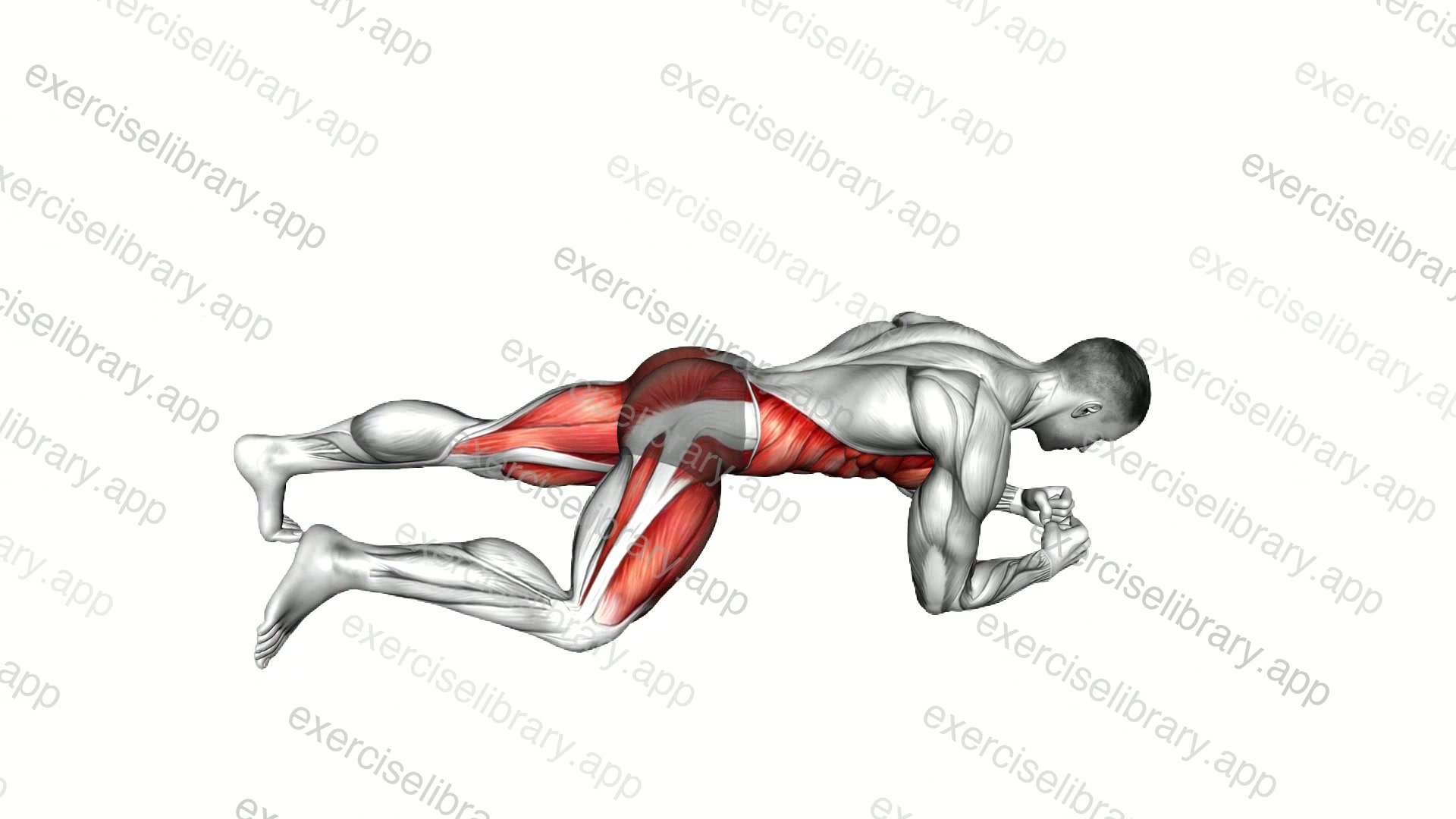 Spider Plank demonstration