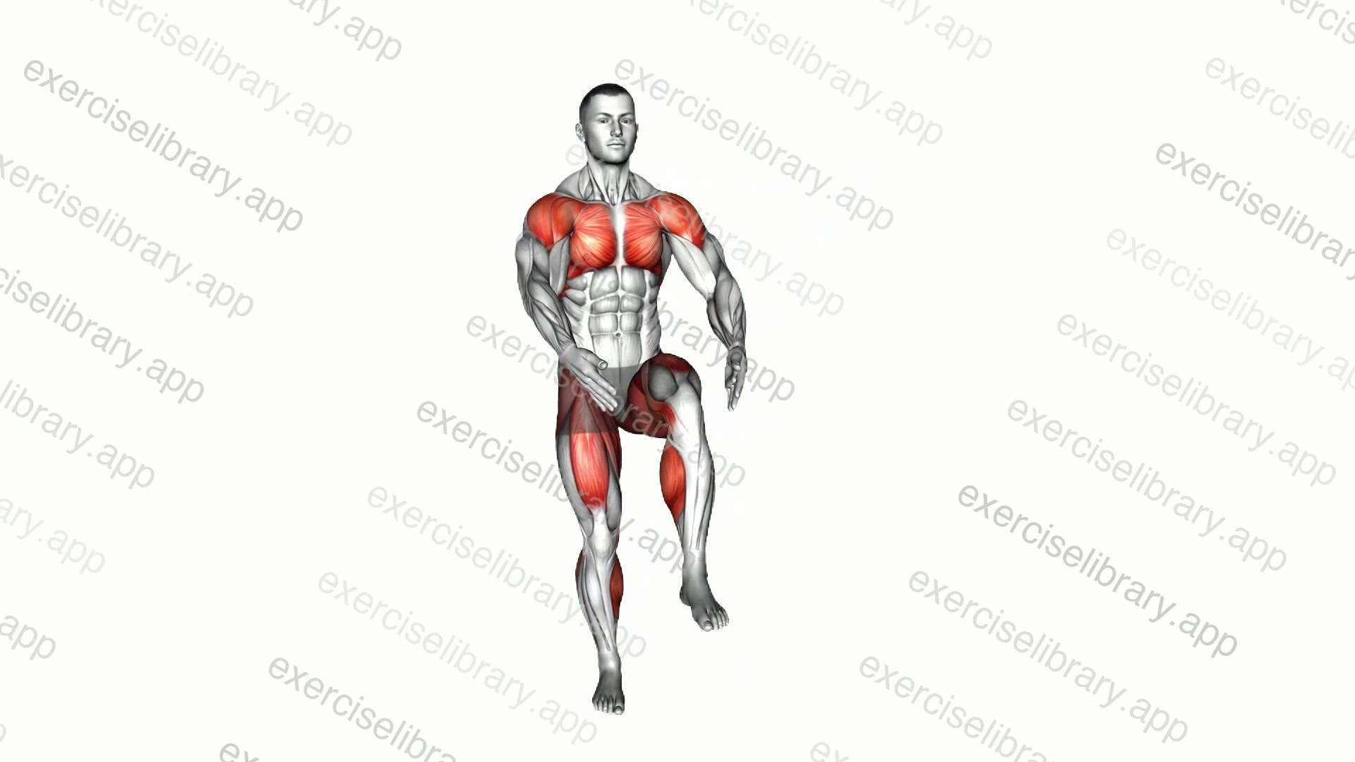 Front Leg Lift Under Knee Tap demonstration