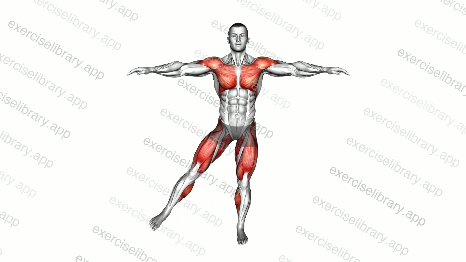 Swim Leg Circle demonstration