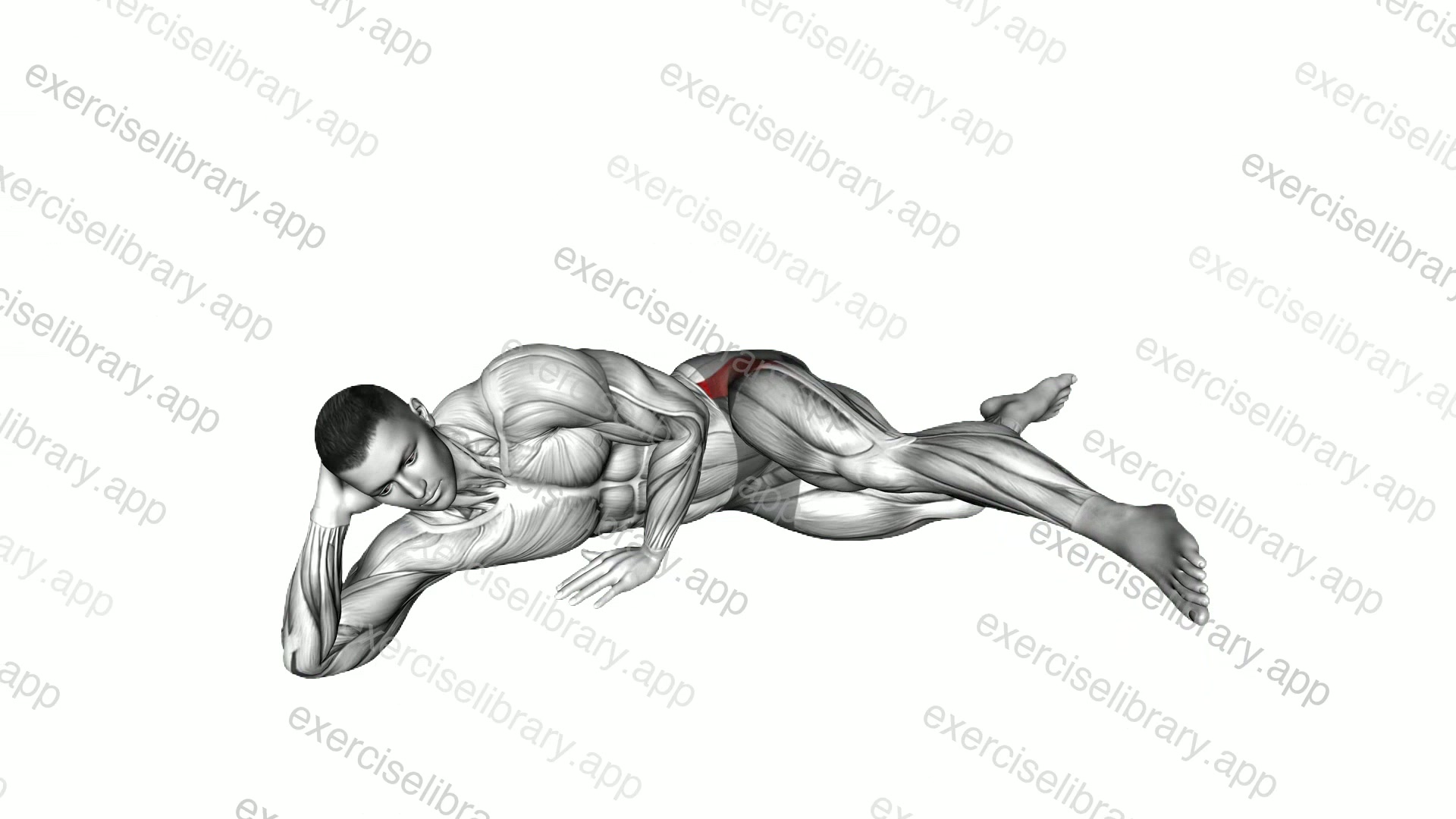 Side Lying T Thigh Raise demonstration