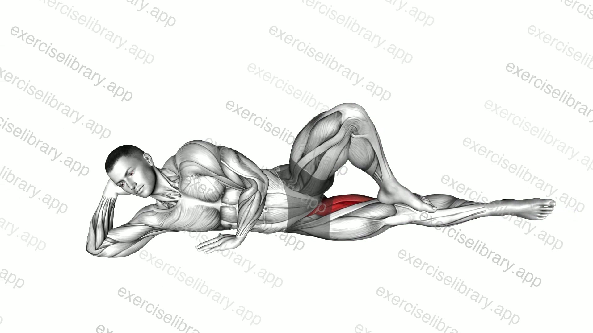 Bodyweight Side Lying Leg Adduction demonstration