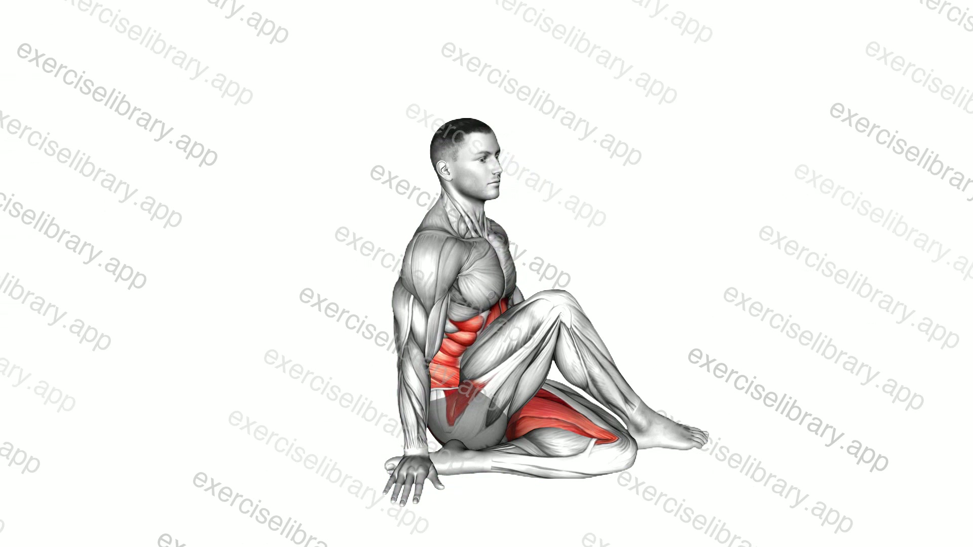 Ardha Matsyendrasana Yoga Pose demonstration