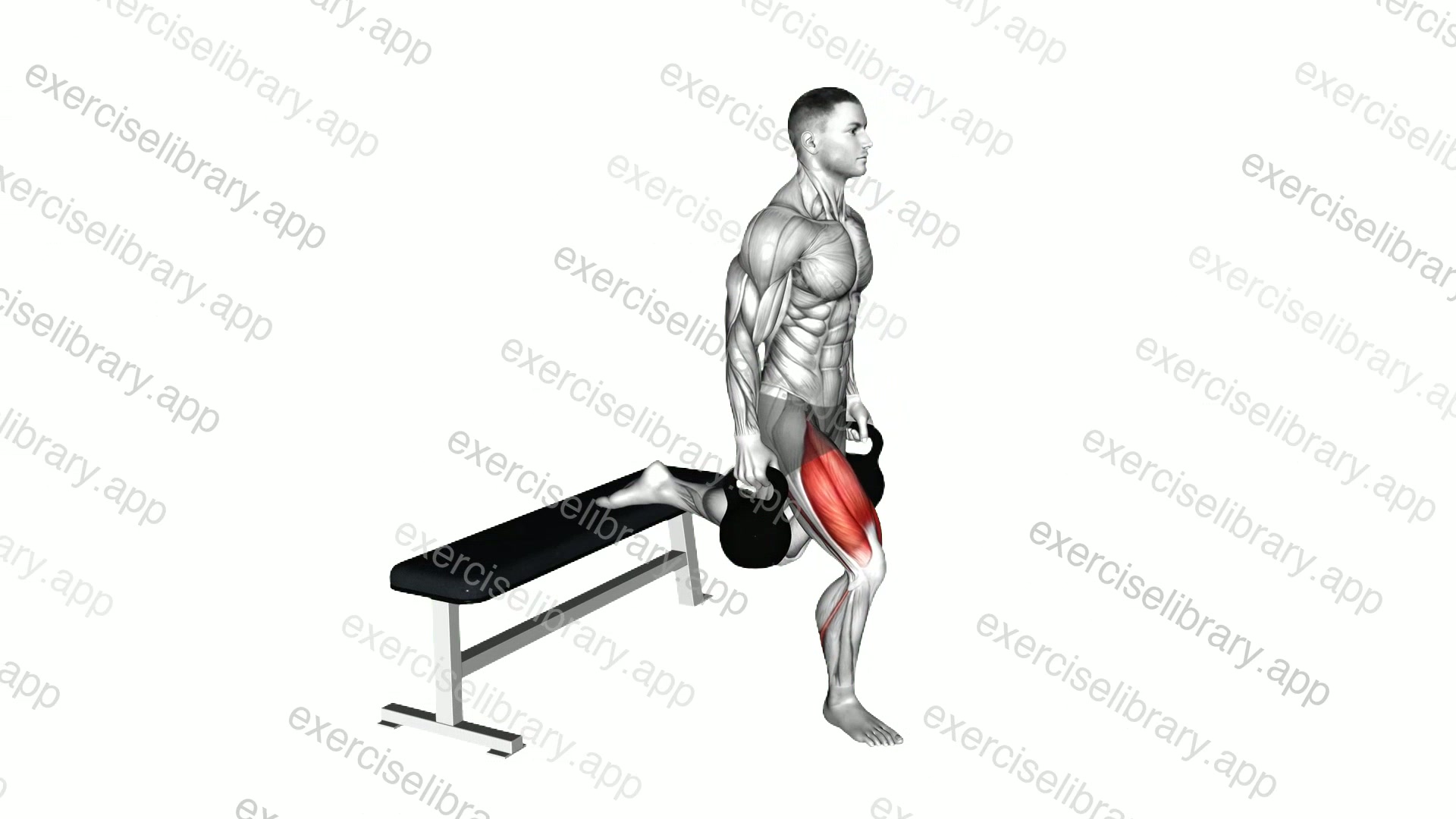 Kettlebell Single Leg Split Squat demonstration