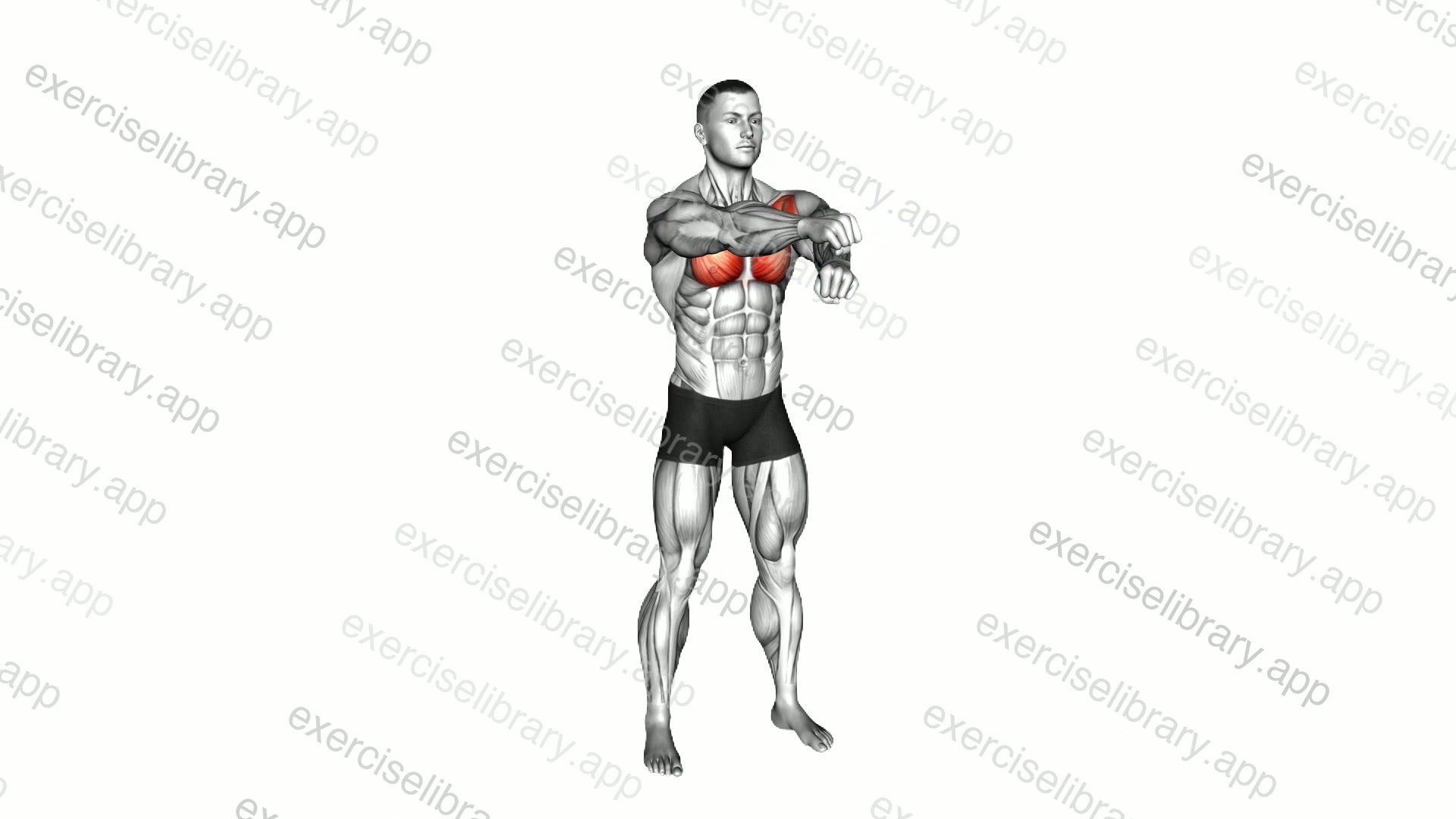 Pulsing Chest Crossovers demonstration