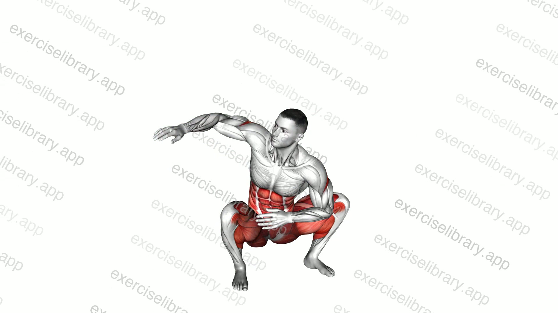 Squat Mobility Twist demonstration