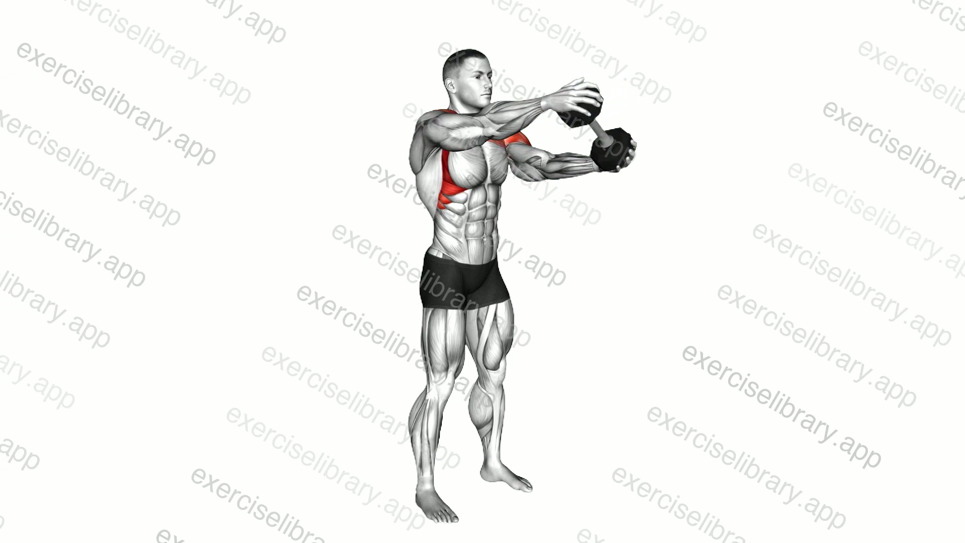 Dumbbell Standing Driver demonstration