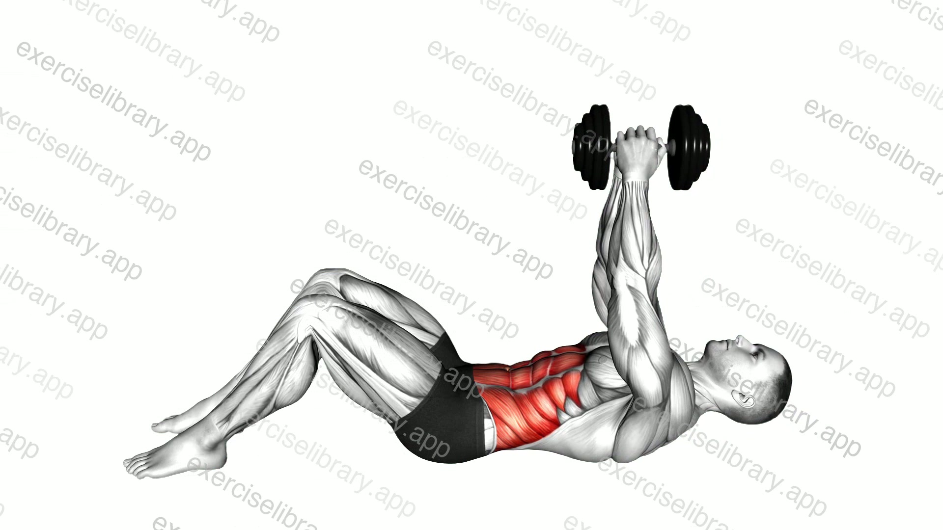 Dumbbell Straight Arm Crunch demonstration