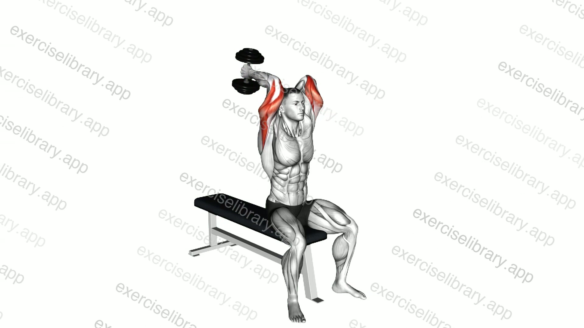 Dumbbell Seated Alternate Overhead Triceps Extension demonstration