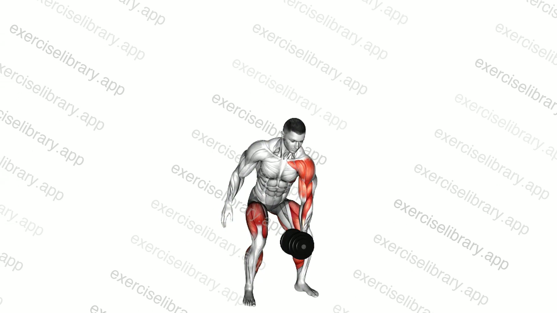 Dumbbell One Arm Snatch demonstration