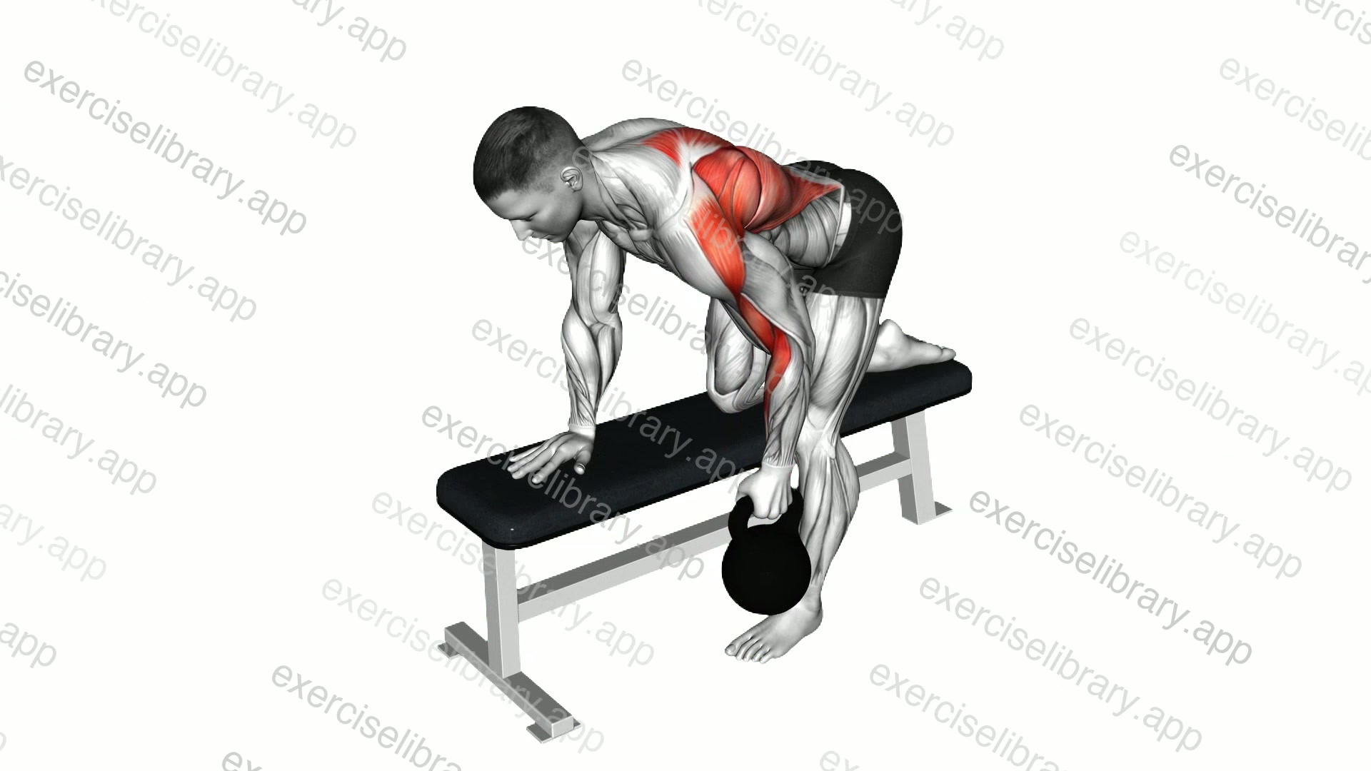 Kettlebell Bent over Row demonstration