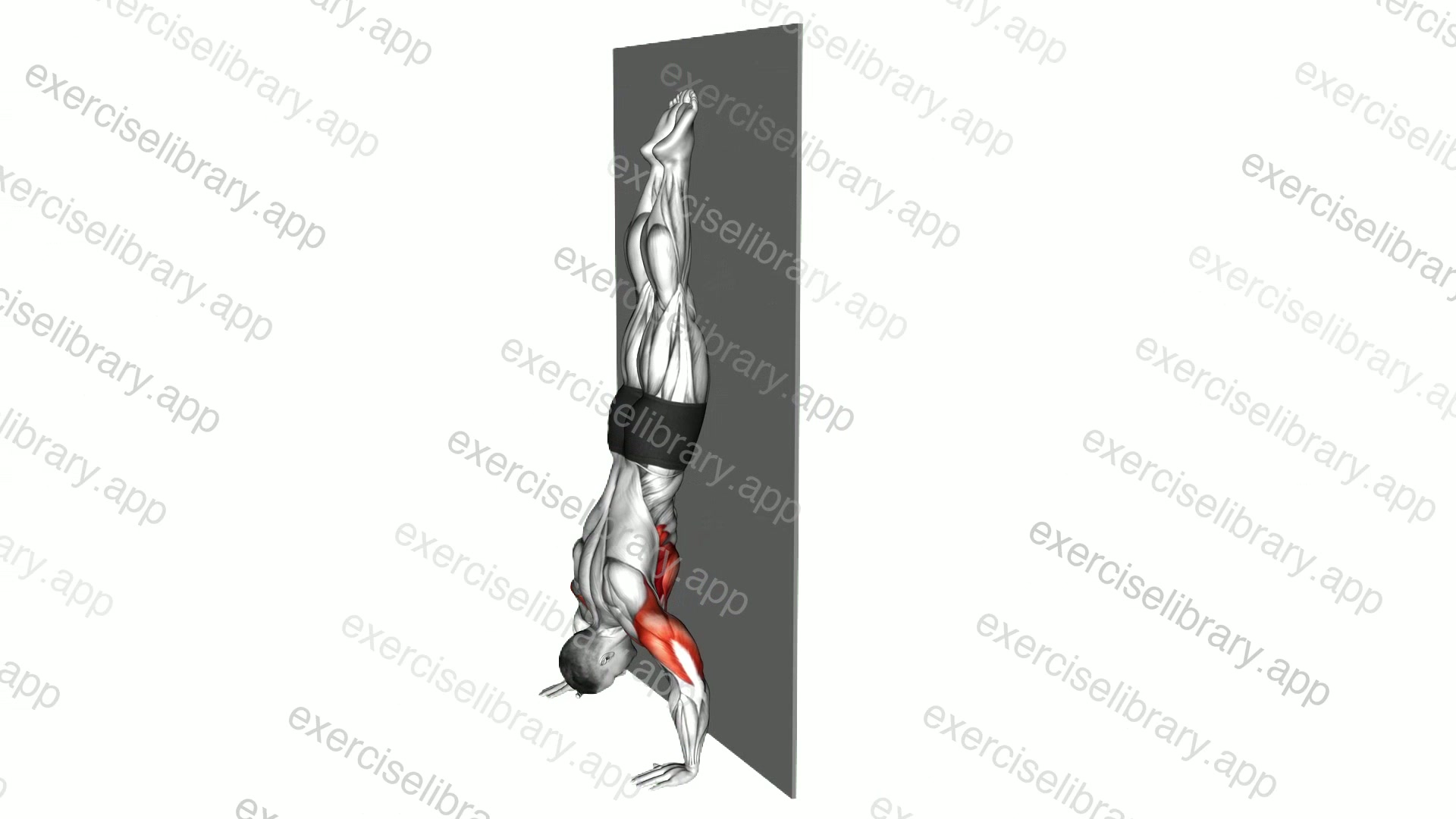 Handstand Push-up against the Wall demonstration