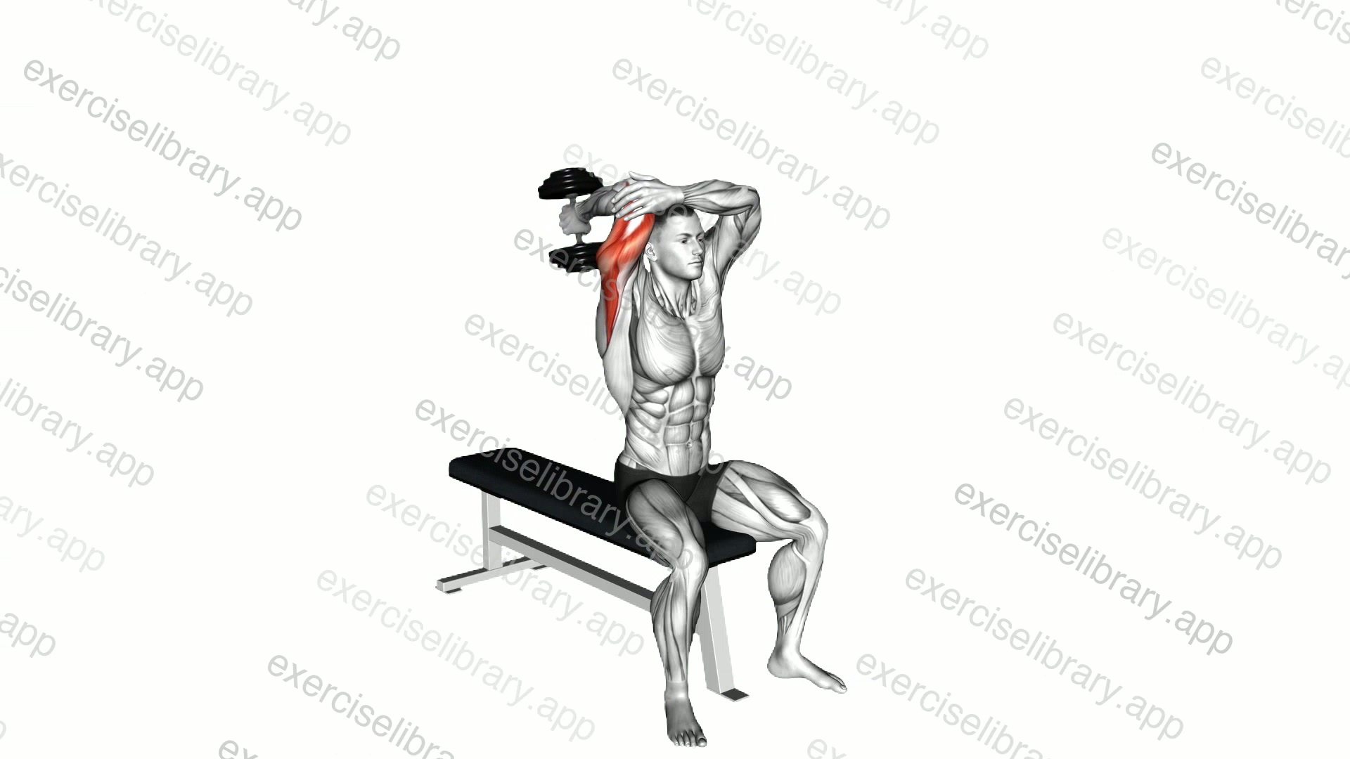 Dumbbell Seated Single Arm Overhead Triceps Extension demonstration