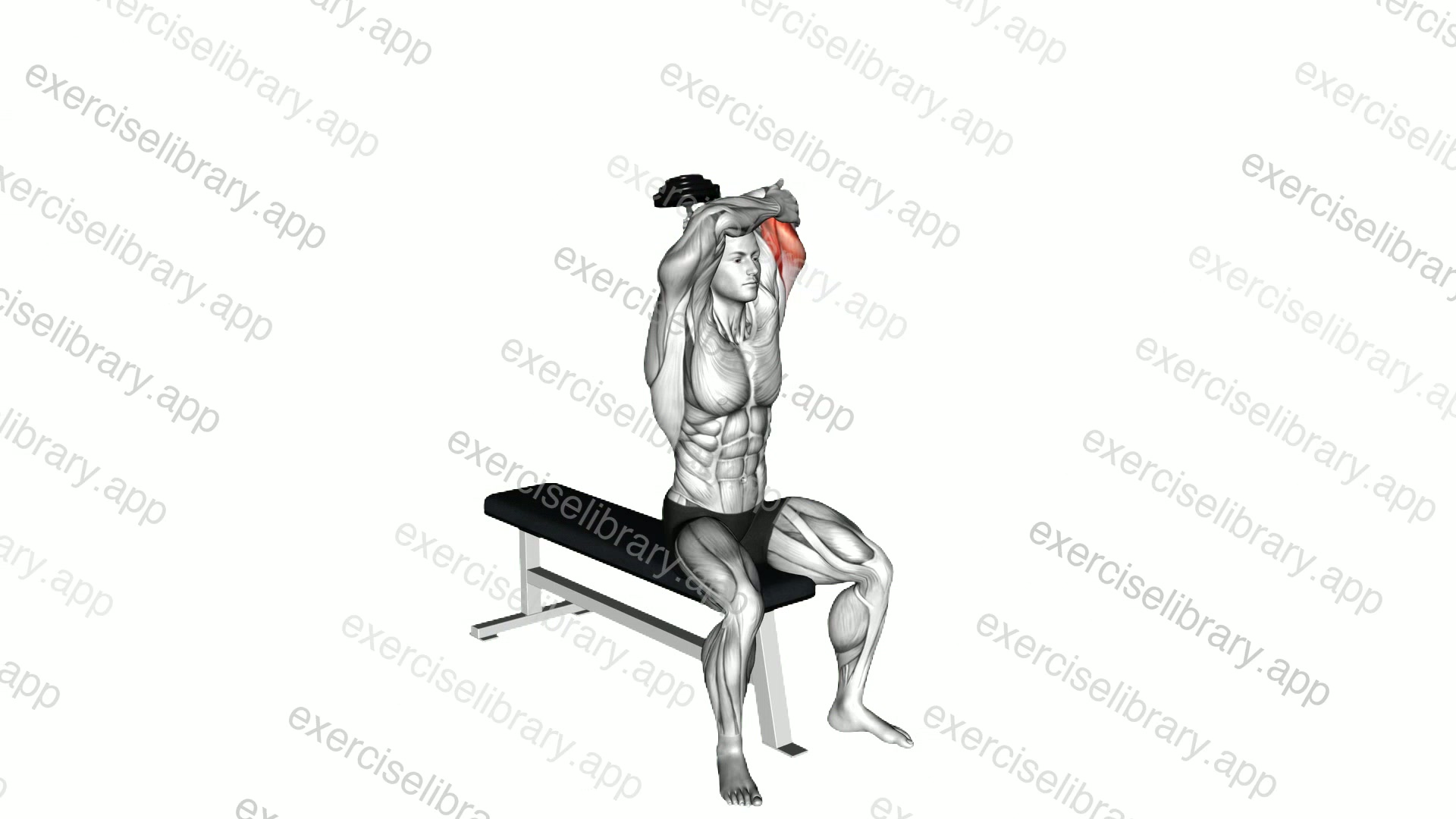 Dumbbell Seated Single Arm Overhead Triceps Extension demonstration