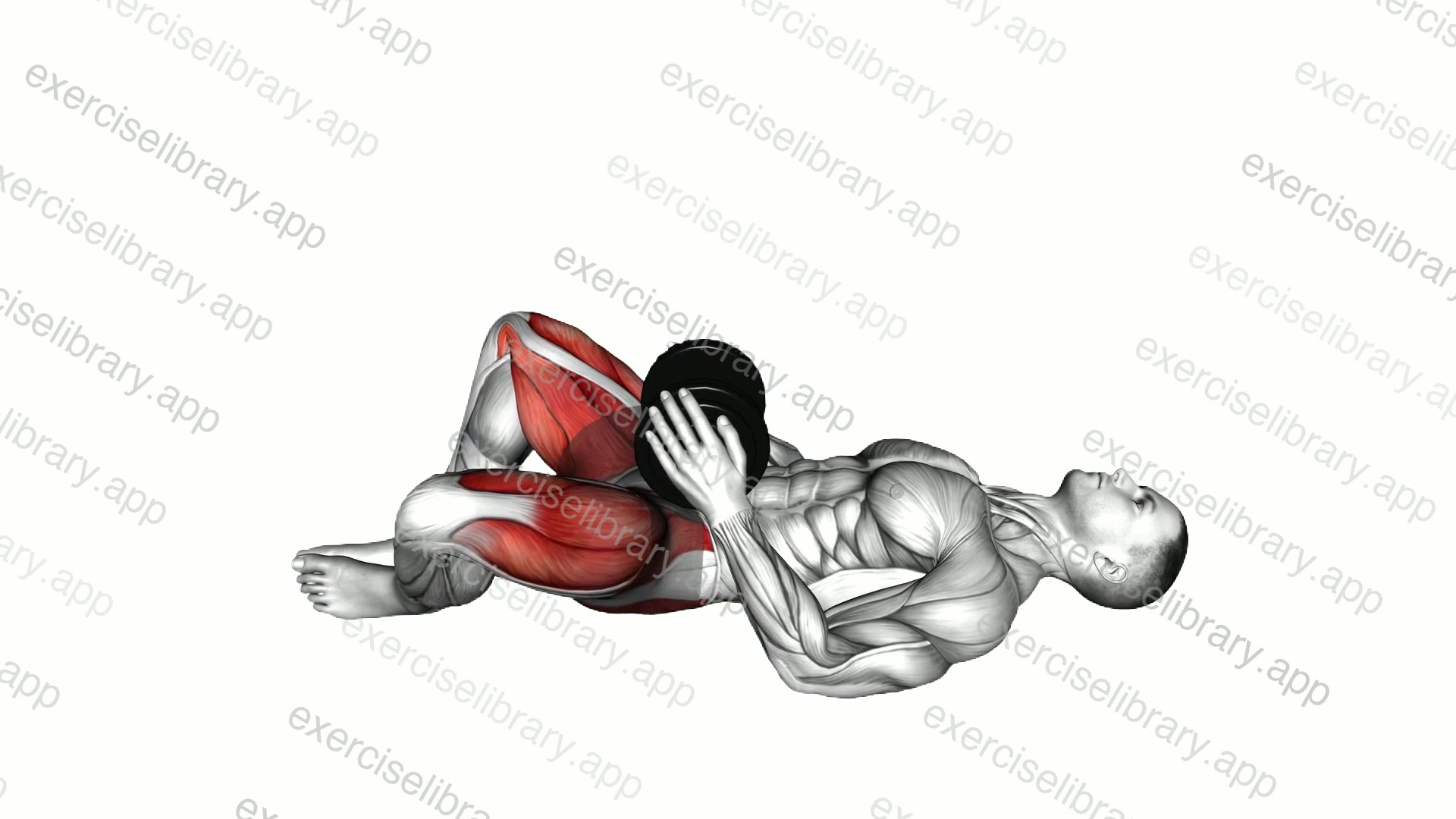 Dumbbell Frog Hip Thrust demonstration