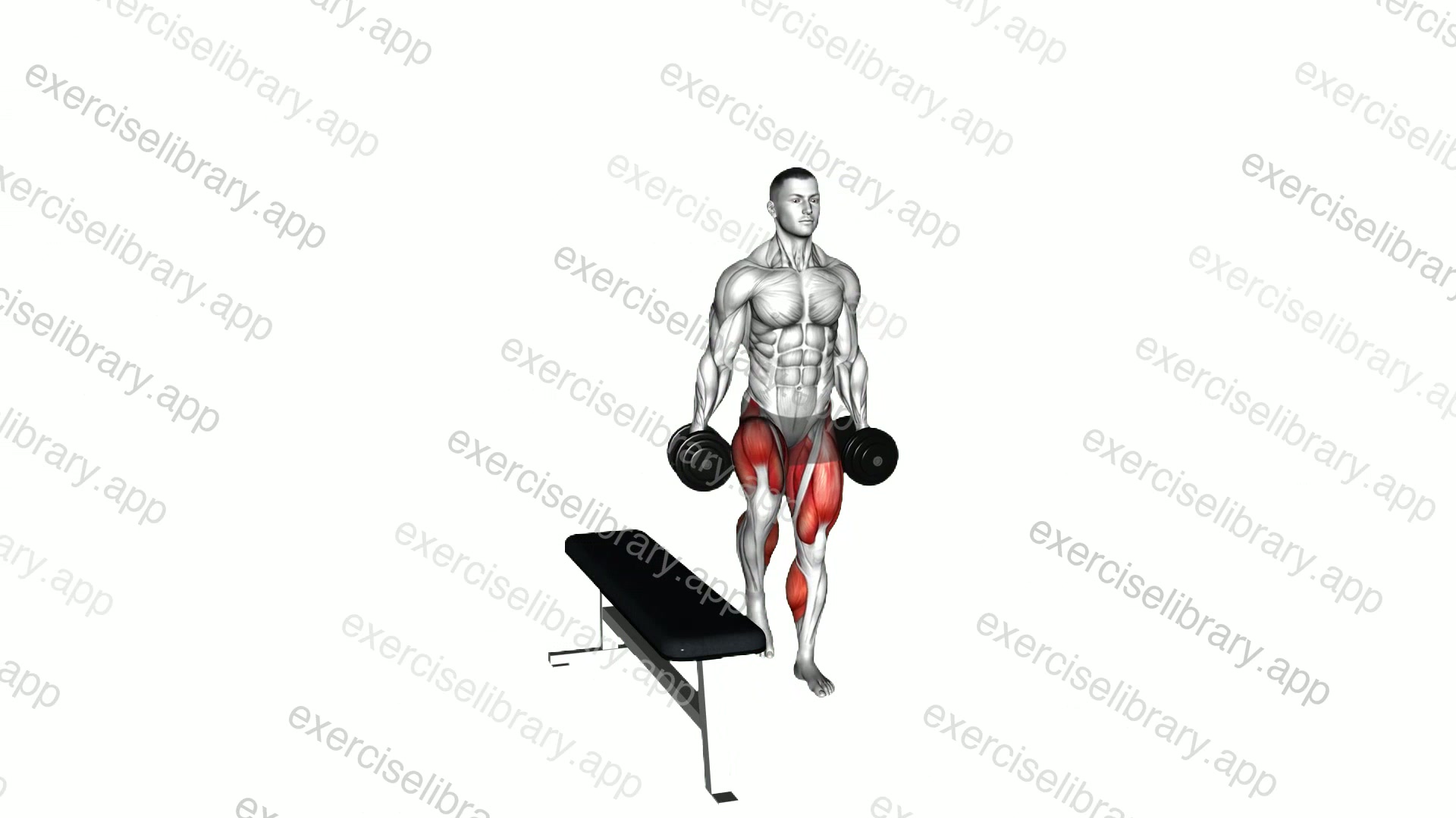 Dumbbell Lateral Step-up demonstration