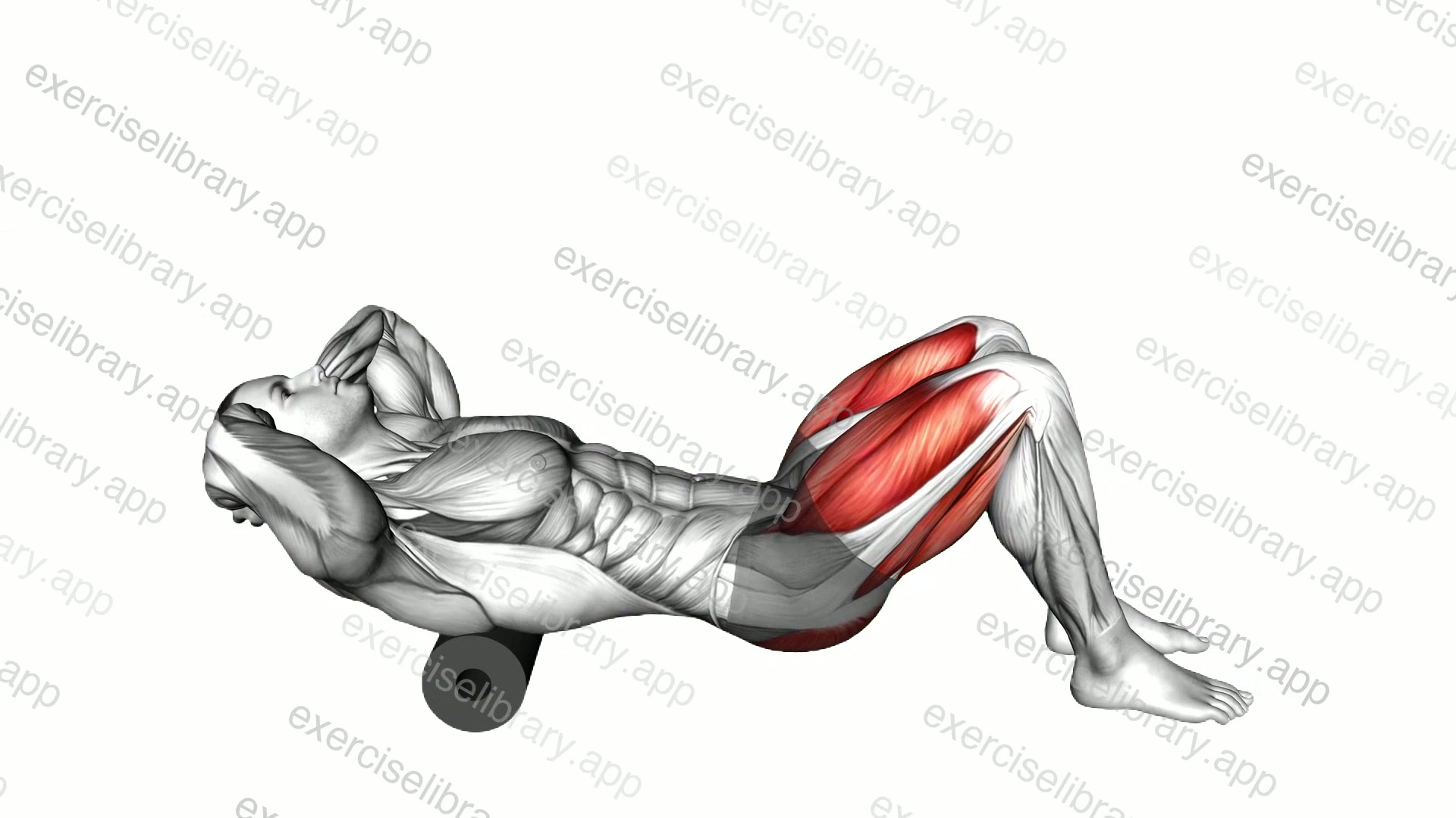 Roll Hip Thrust demonstration