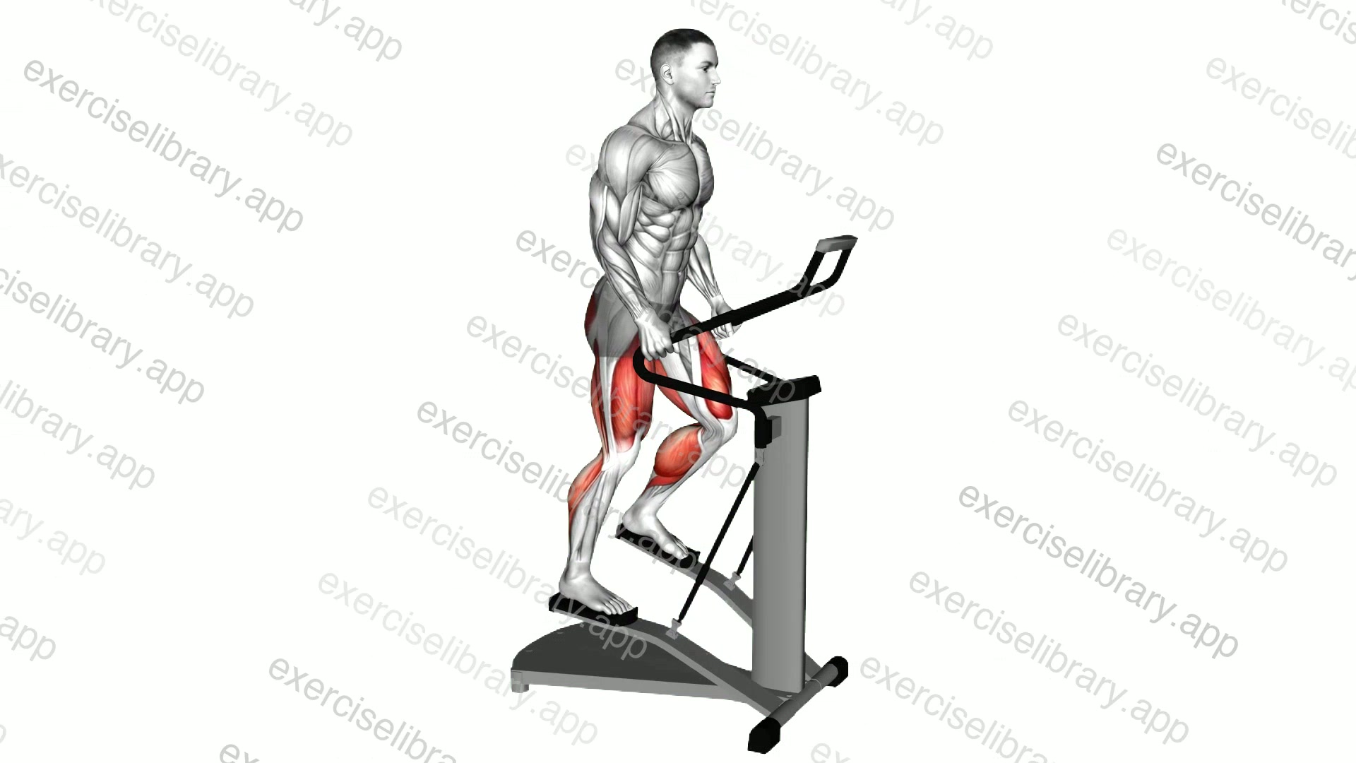 Lever Stepper demonstration