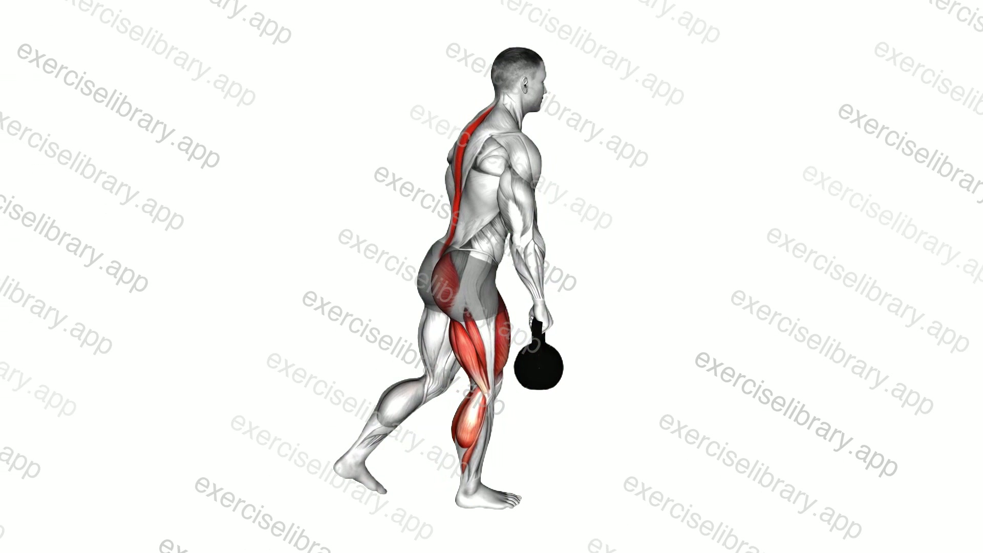 Kettlebell Single Leg Deadlift demonstration