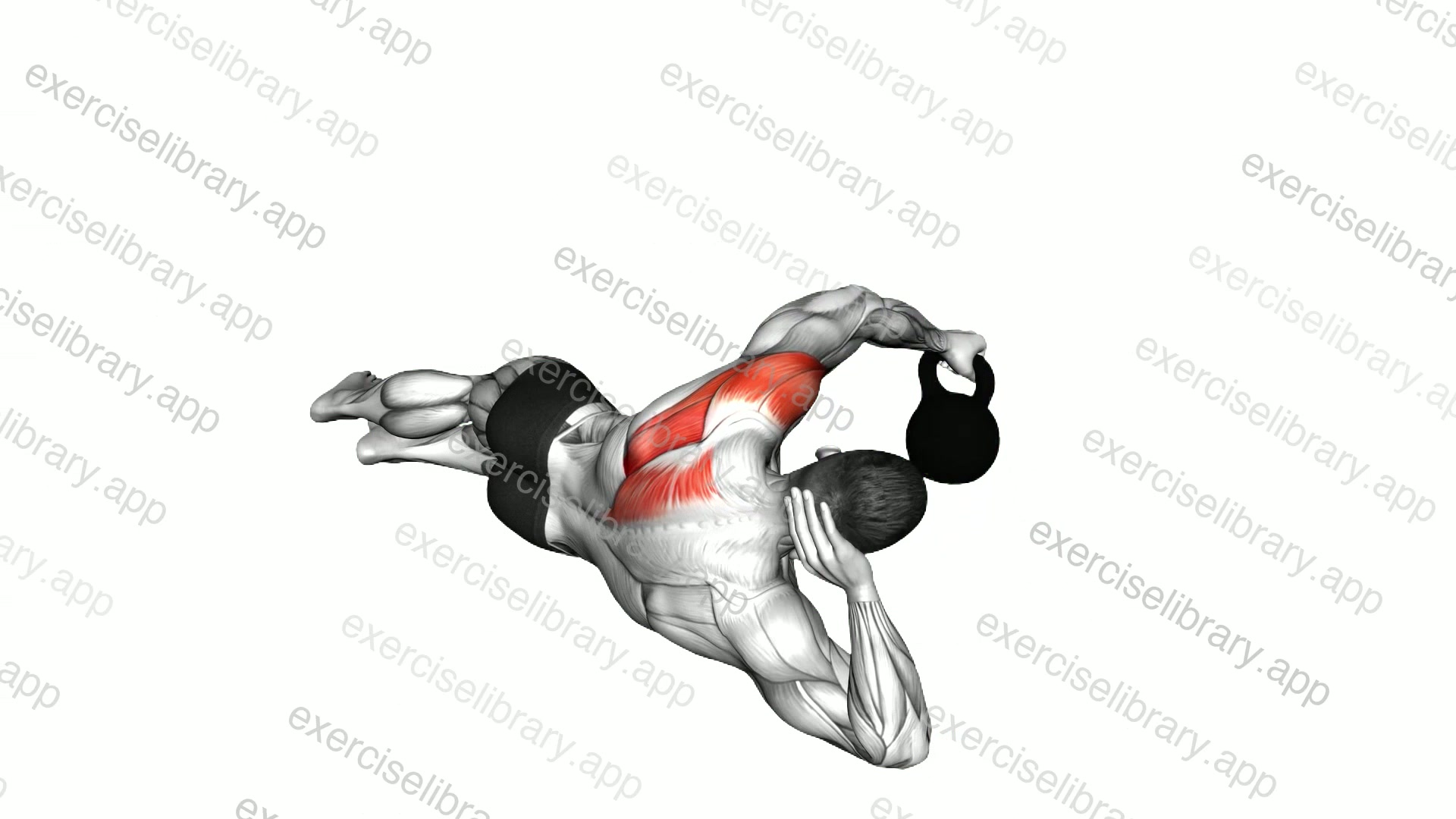 Kettlebell Lying on Floor Rear Delt Raise demonstration
