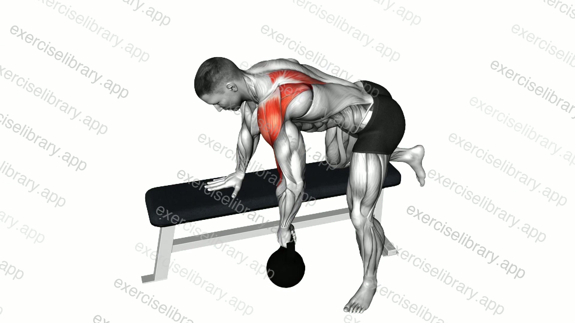 Kettlebell Rear Delt Row demonstration