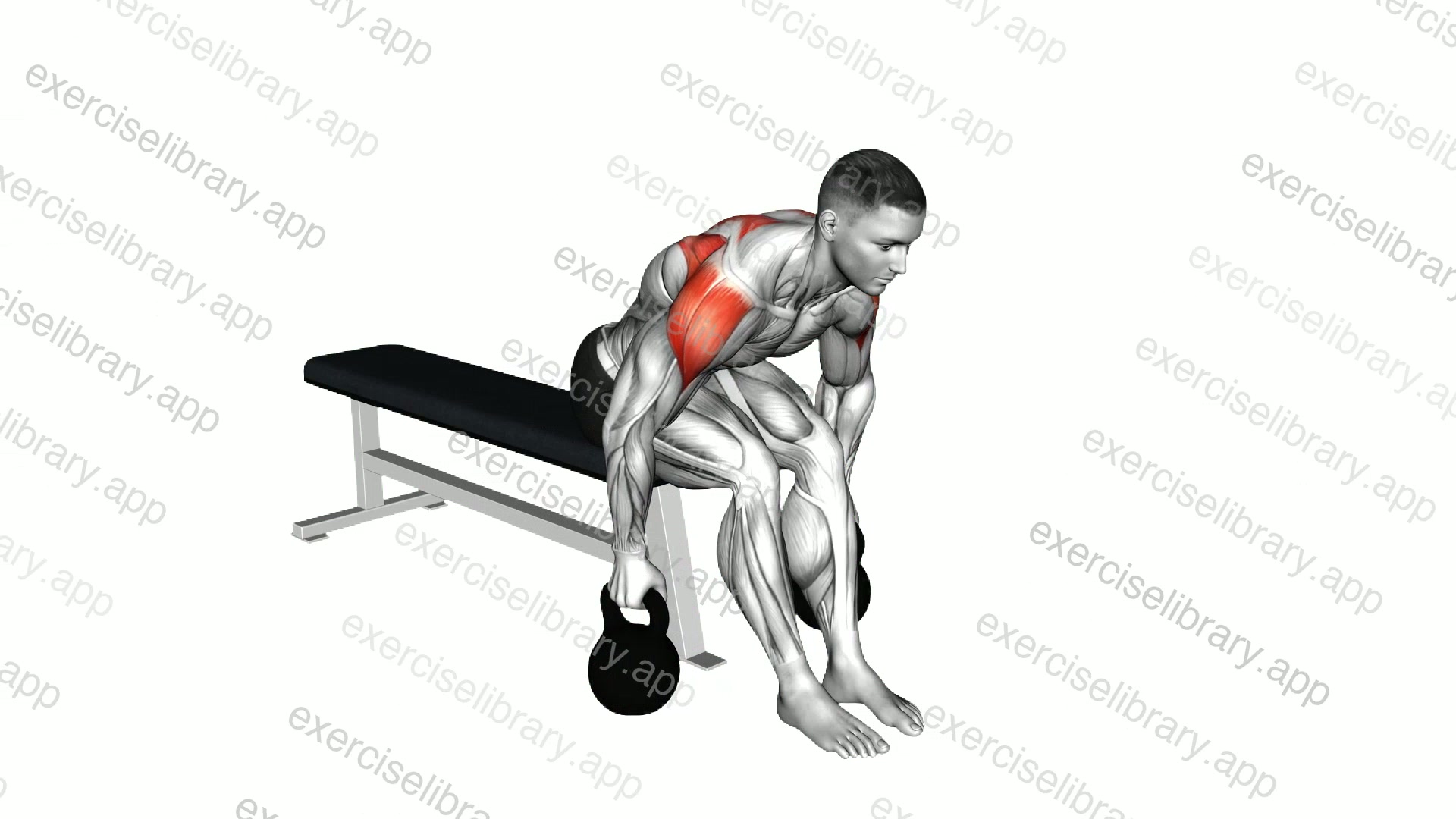Kettlebell Rear Fly demonstration