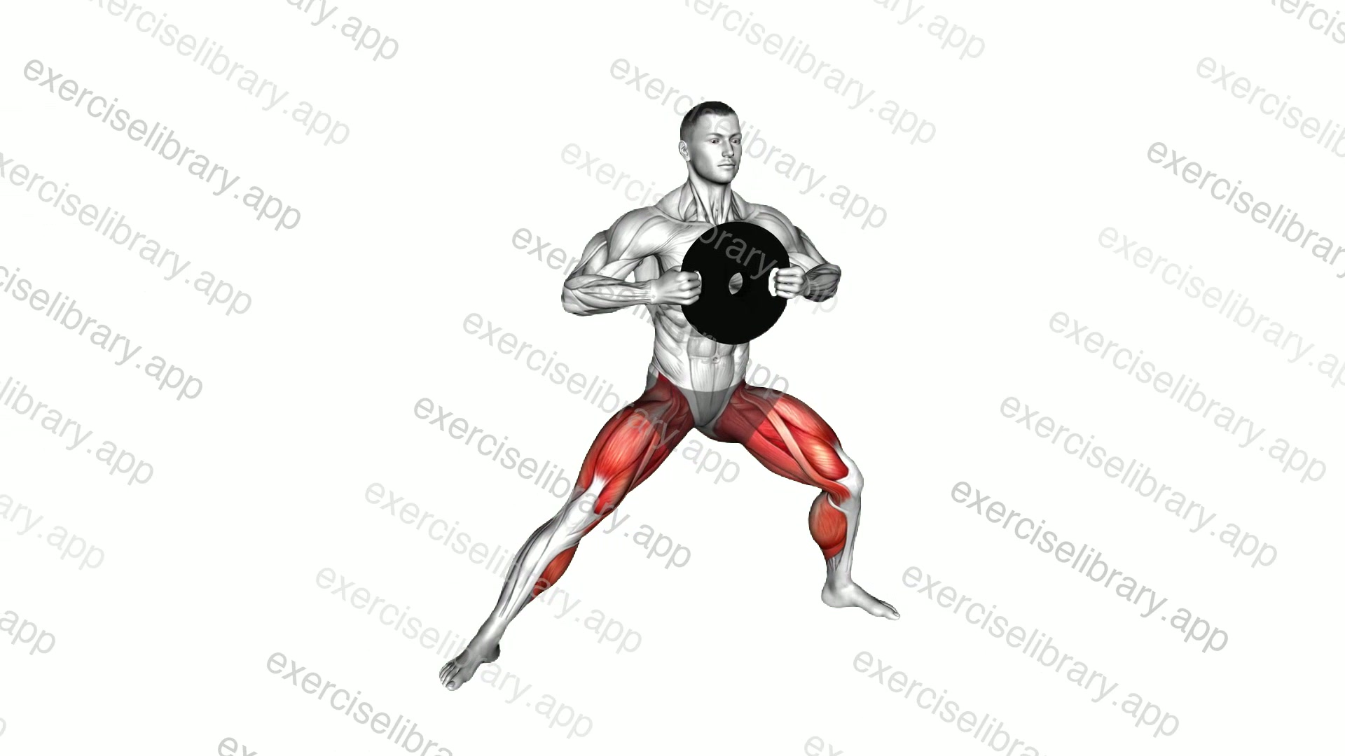 Weighted Plate Cossack Squat demonstration