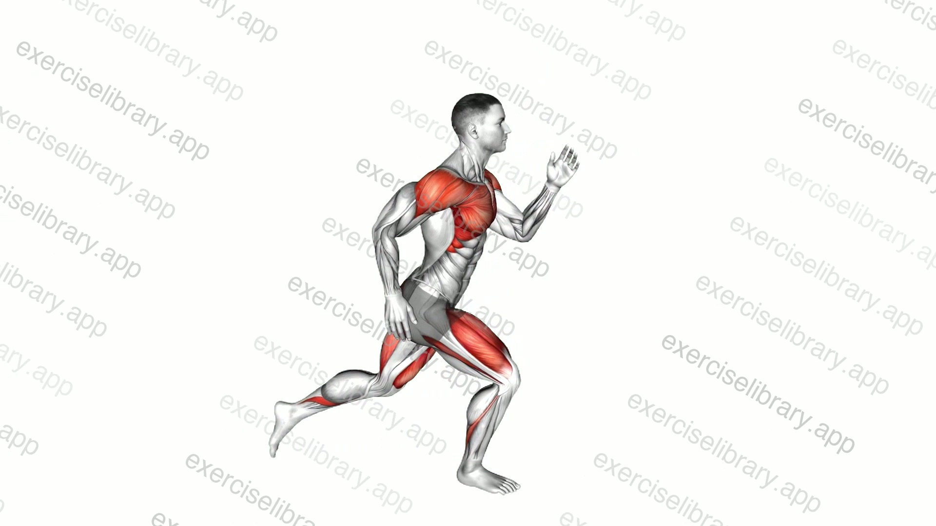 Reverse Lunge Quick Arms demonstration