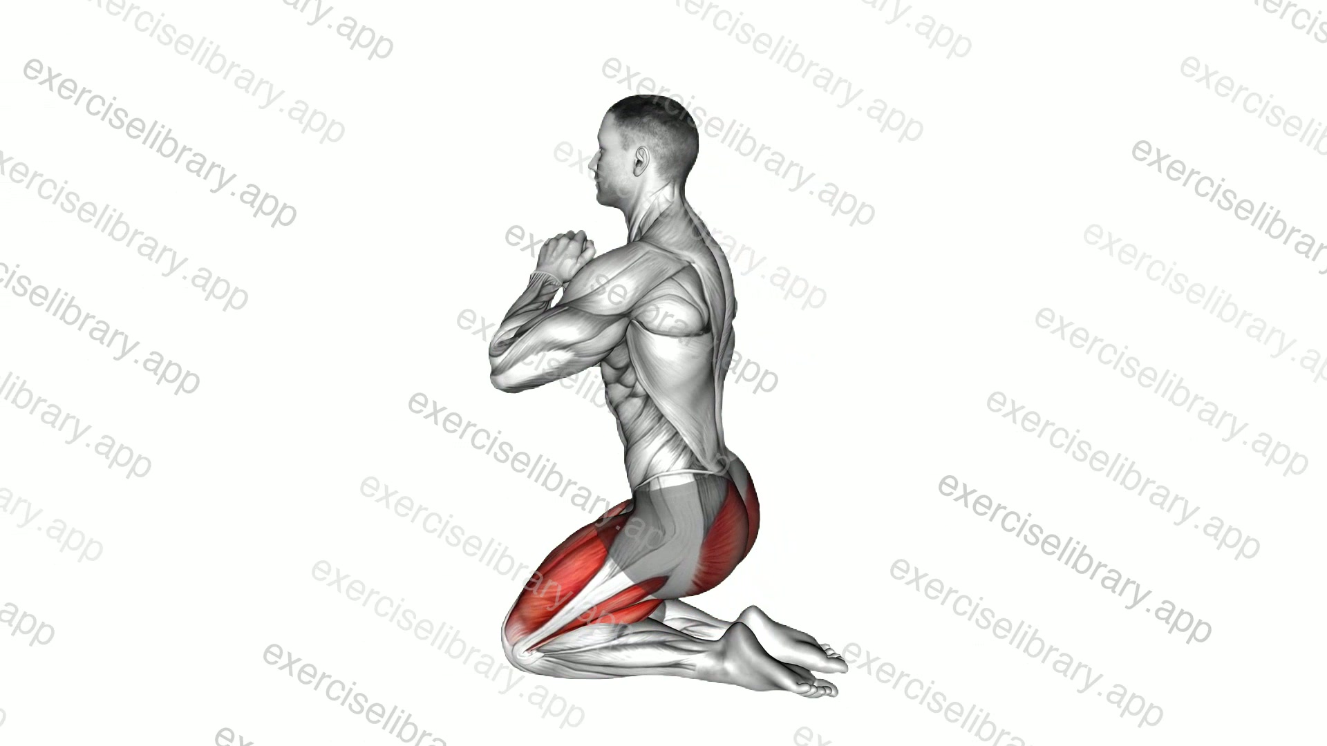 Kneeling Hip Thrust demonstration
