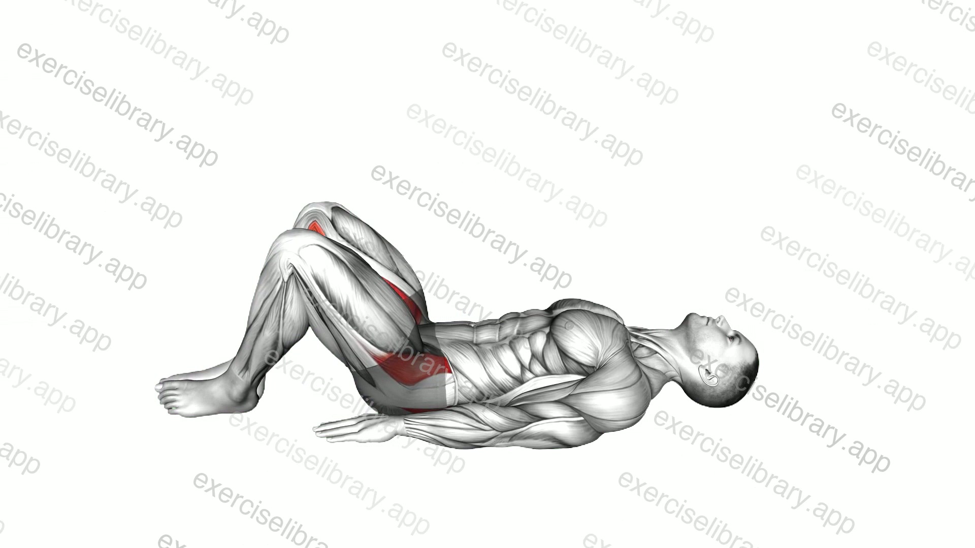 Lying Hip Adduction demonstration