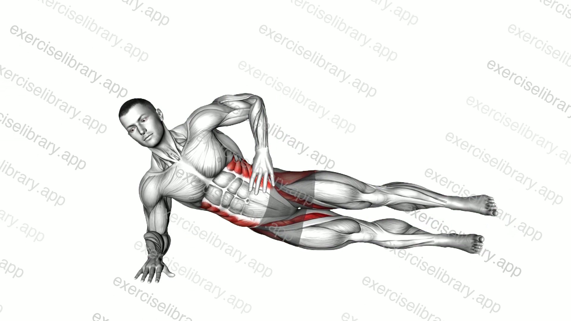 Side Plank Leg Lift demonstration