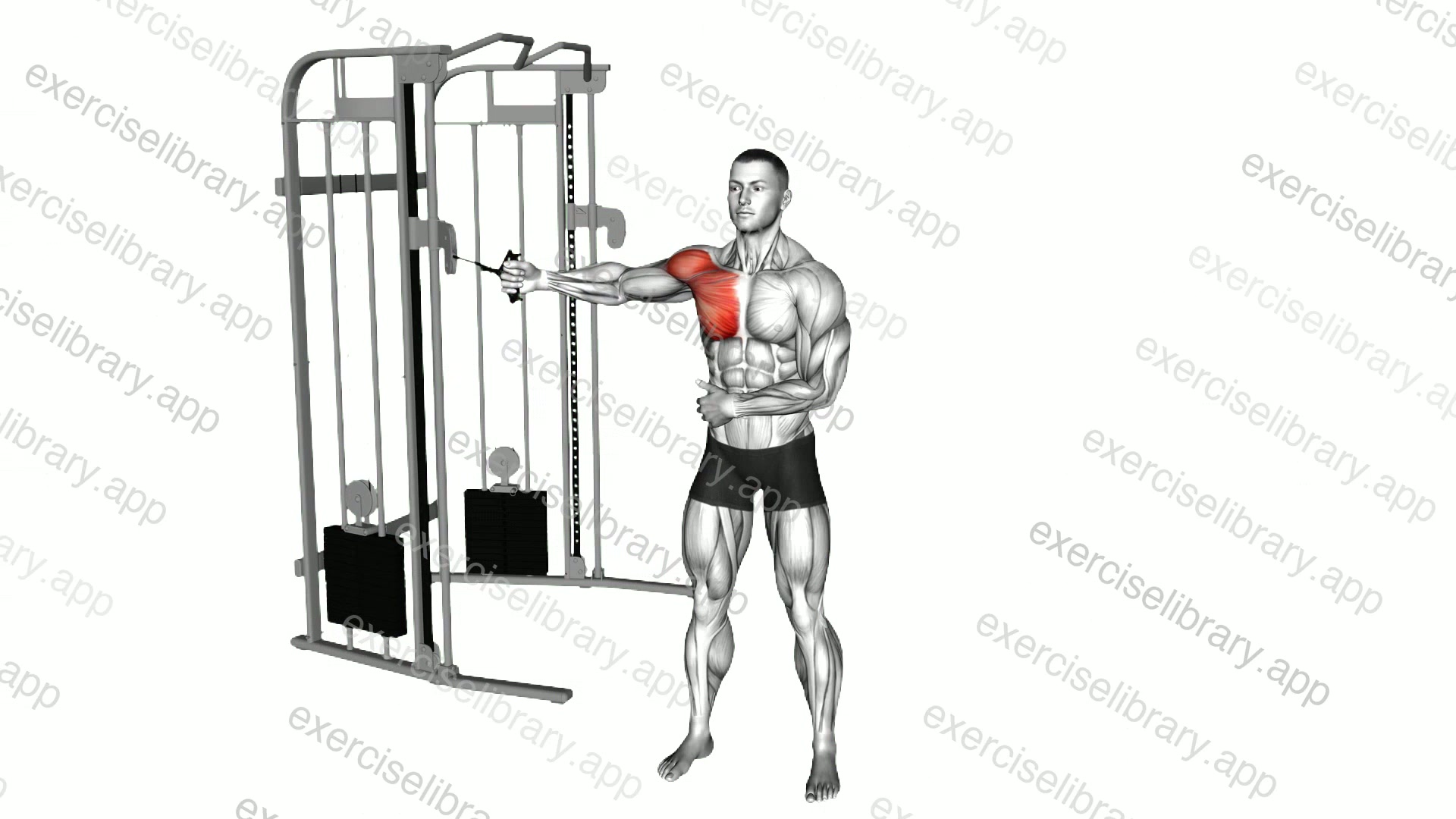 Cable Standing Single Arm Fly demonstration