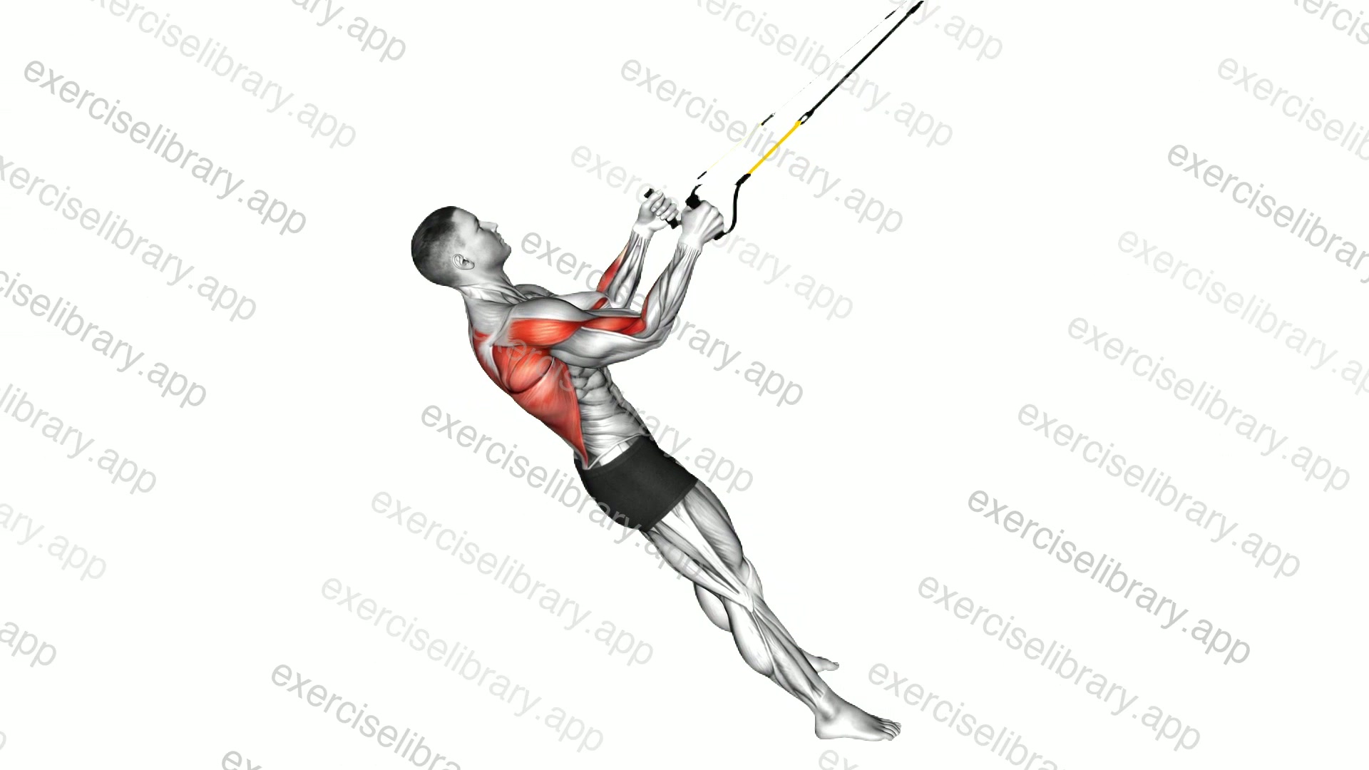Suspender Row demonstration