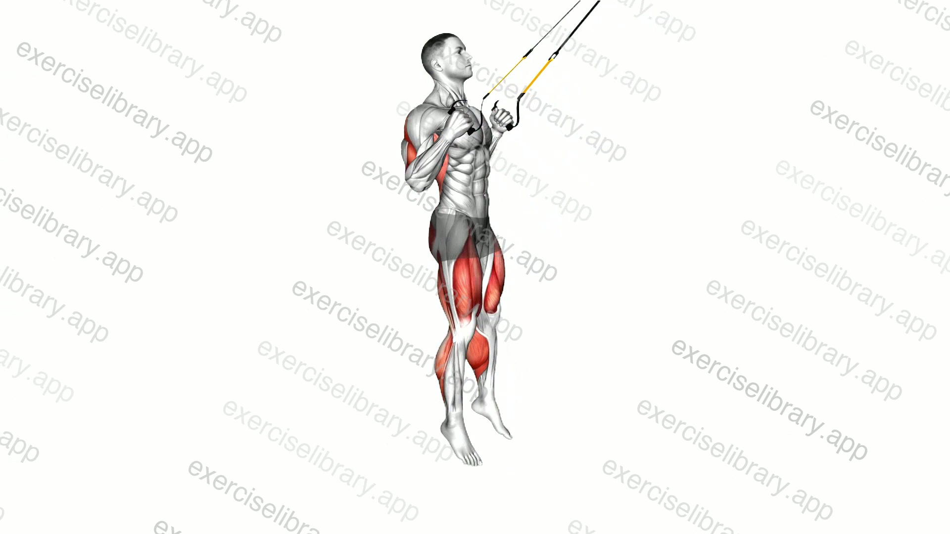 Suspender Squat Jump demonstration