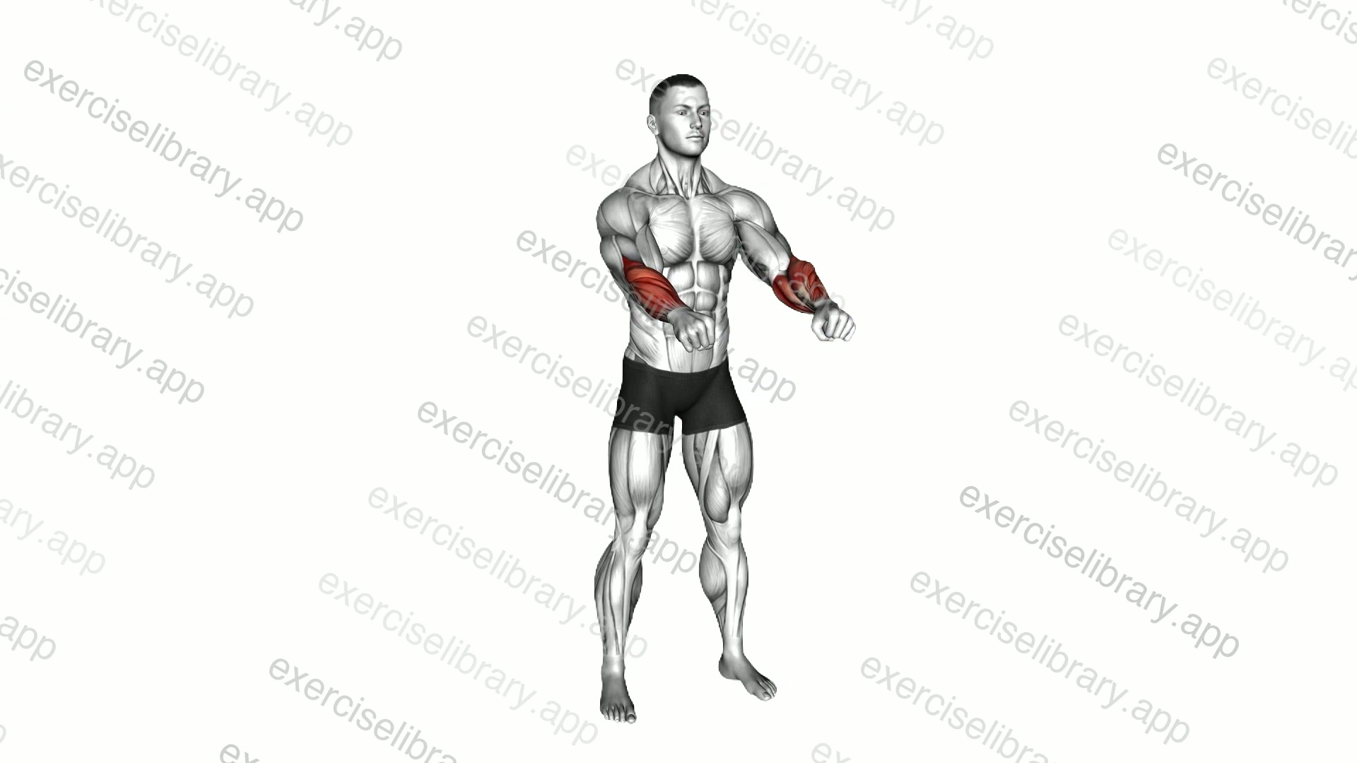 Tight Fist Rotation demonstration