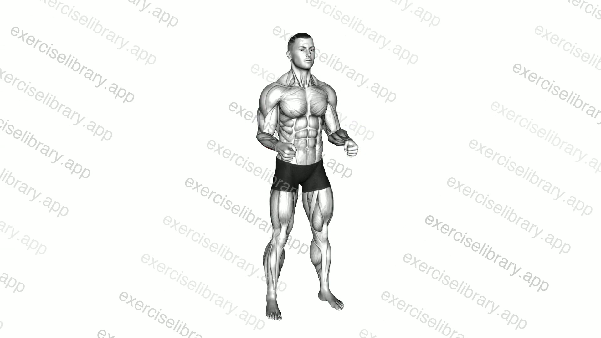 Tight Fist Lift demonstration