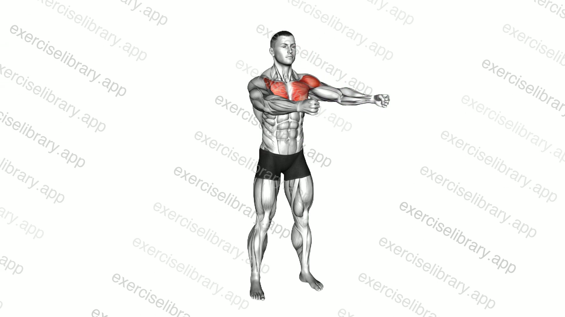 Bodyweight Standing Alternate Chest Fly demonstration