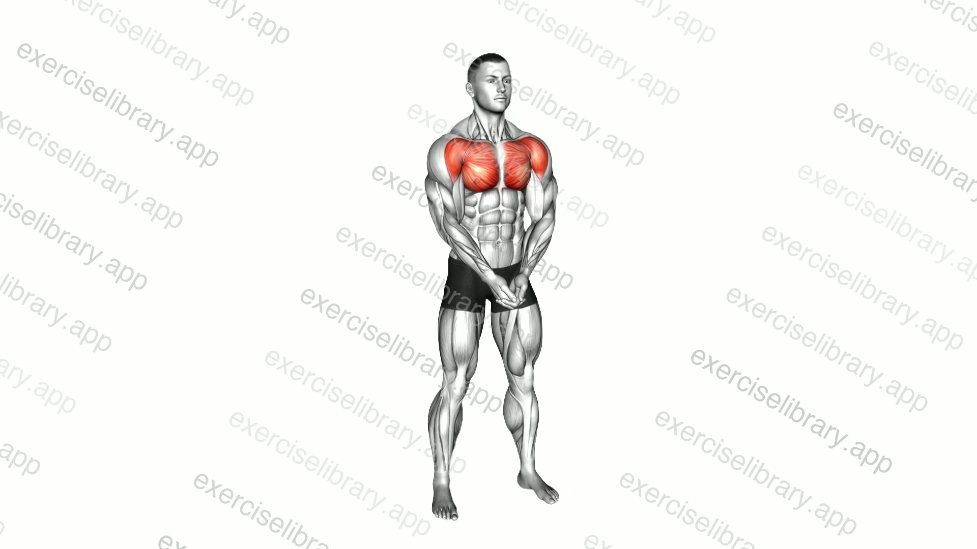 Chest Pressdown demonstration
