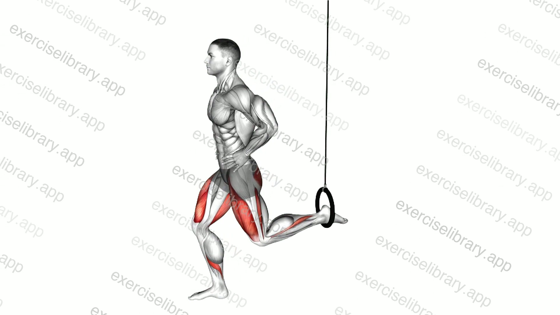 Ring Split Squat demonstration