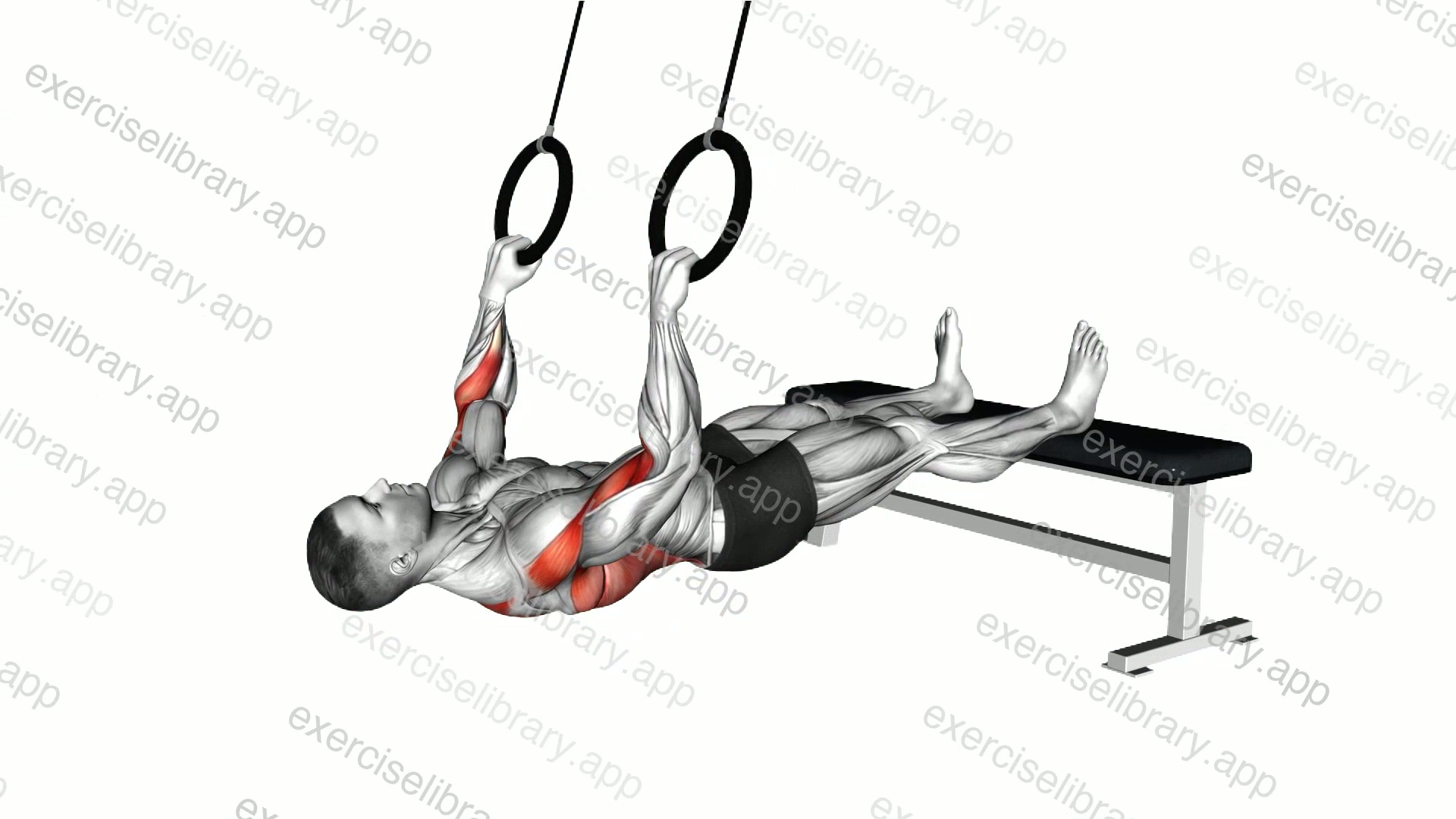 Ring Wide Grip Inverted Row demonstration