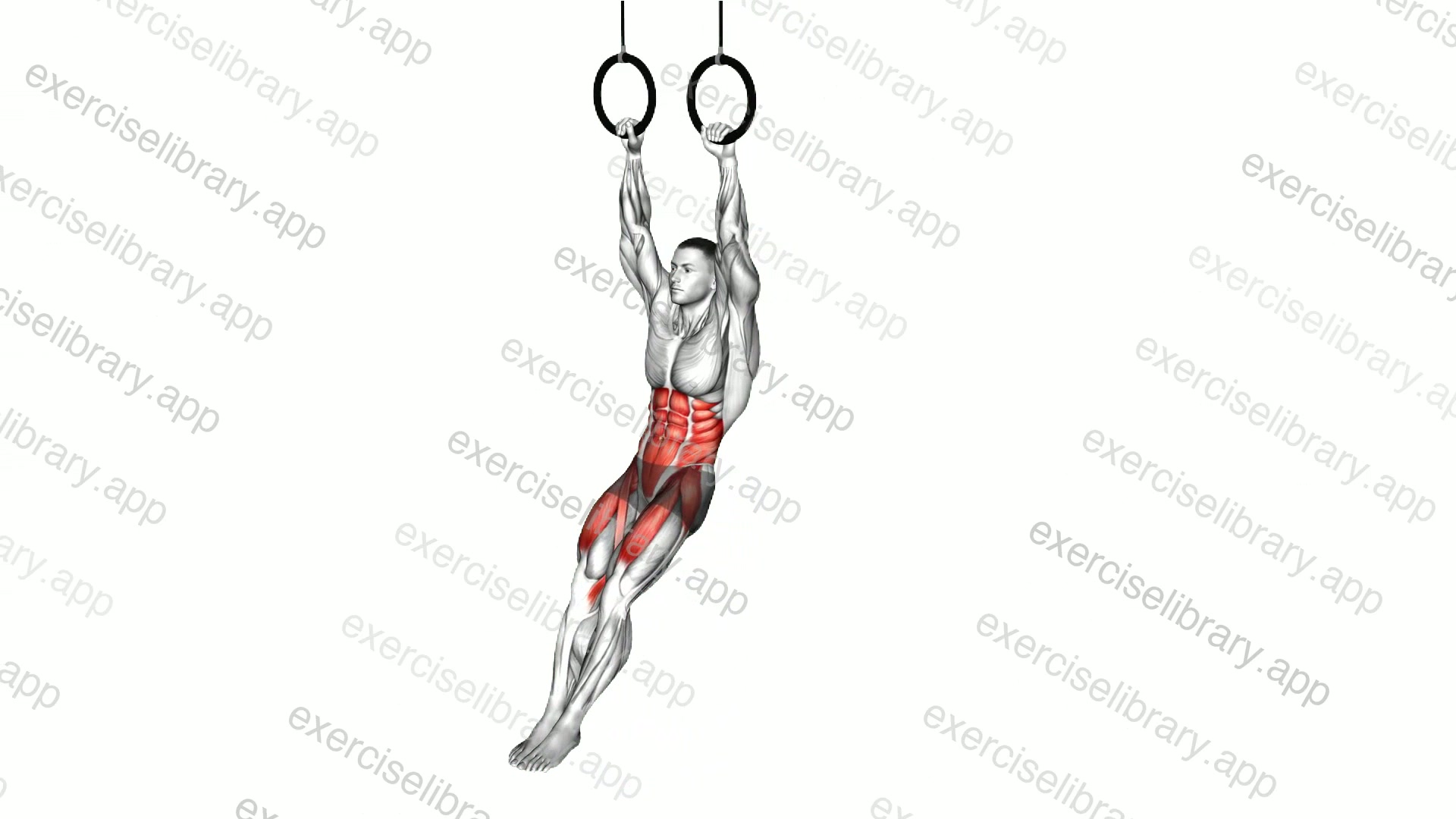 Ring Hanging Straight Leg Hip Raise demonstration