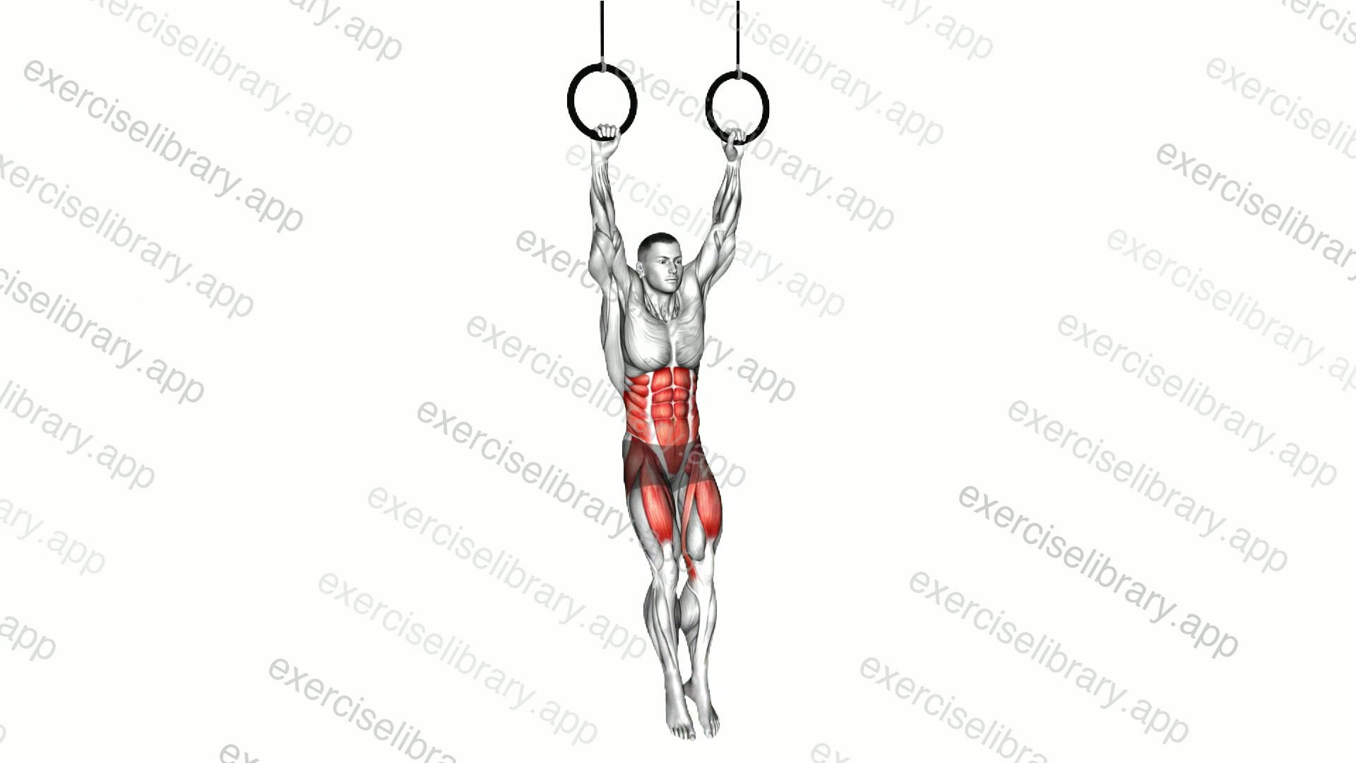 Ring Hanging Leg Hip Raise demonstration