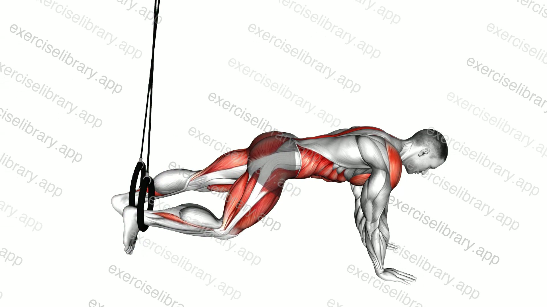 Ring Mountain Climber demonstration