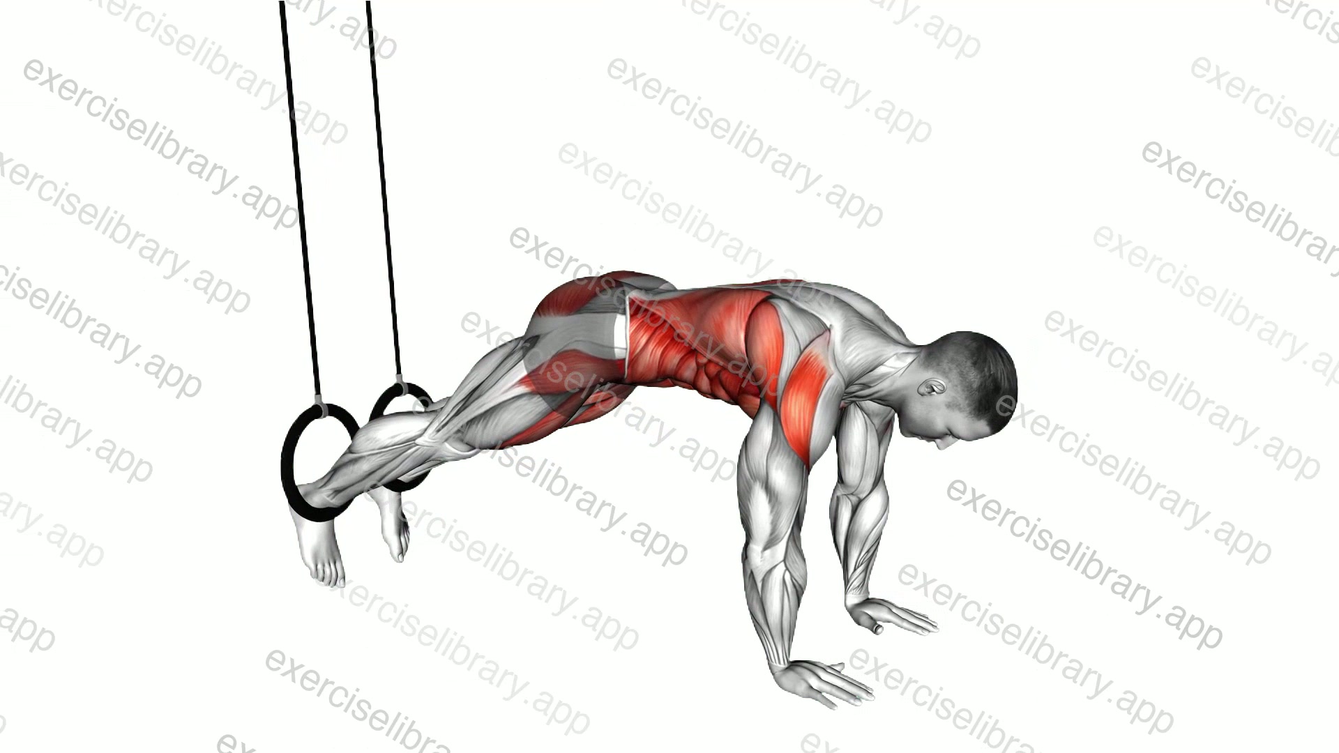 Ring Pike demonstration