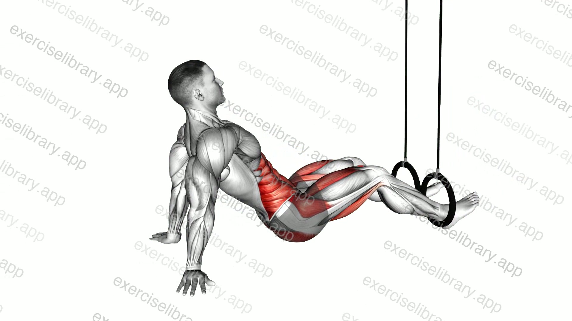 Ring Supine Crunch demonstration